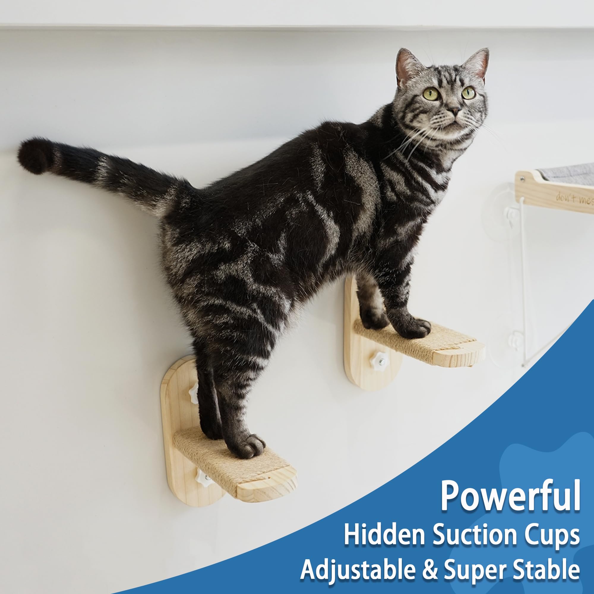 Petkaray Cat Window Shelf, Original Cat Window Perch Stairs, Durable Cat Seat For Window Sill, Sturdy Window Step For Indoor Cat