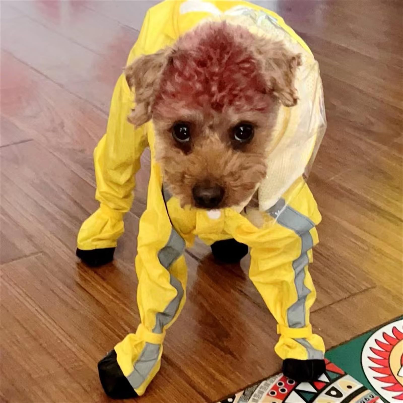 Yeduzyn Dog Raincoat With Boots - Waterproof Jacket With Hood For Small, Medium & Large Dogs, Reflective Strap, Lightweight Rain