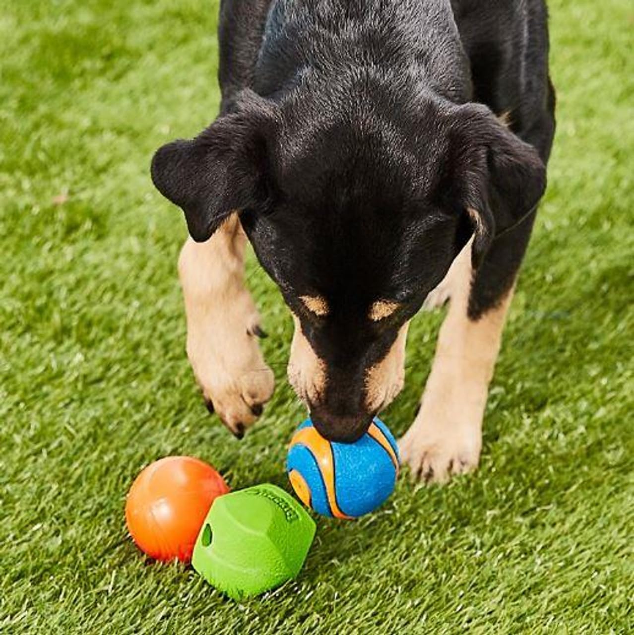 Chuckit! Fetch Medley Dog Ball Dog Toys, Medium (2.5 Inch) Pack Of 3, For Medium Breeds, Includes Erratic, Strato And Ultra Squeaker Balls