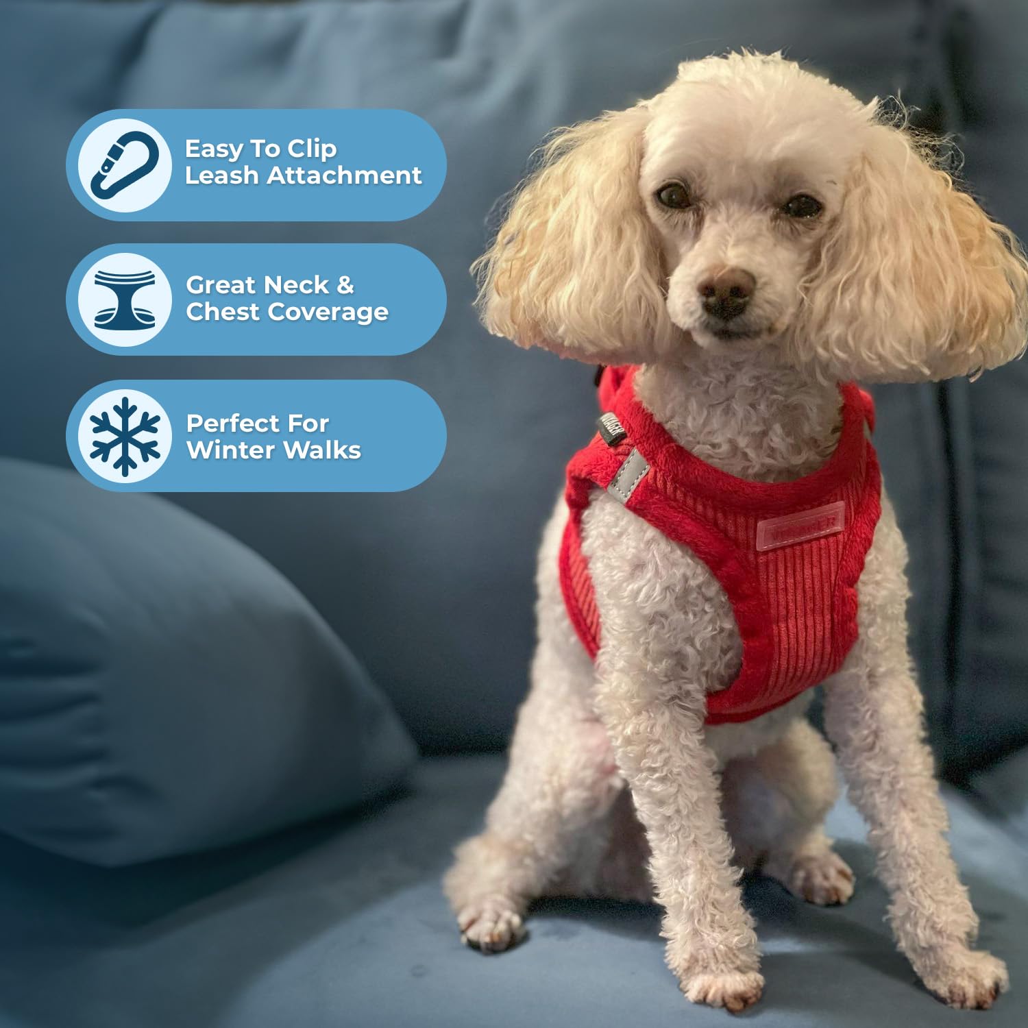 Best Pet Supplies - All Weather Mesh/Plush, Reflective, No Pull Harness for Small, Medium Dogs, Cats - Secure with Hook & Loop F