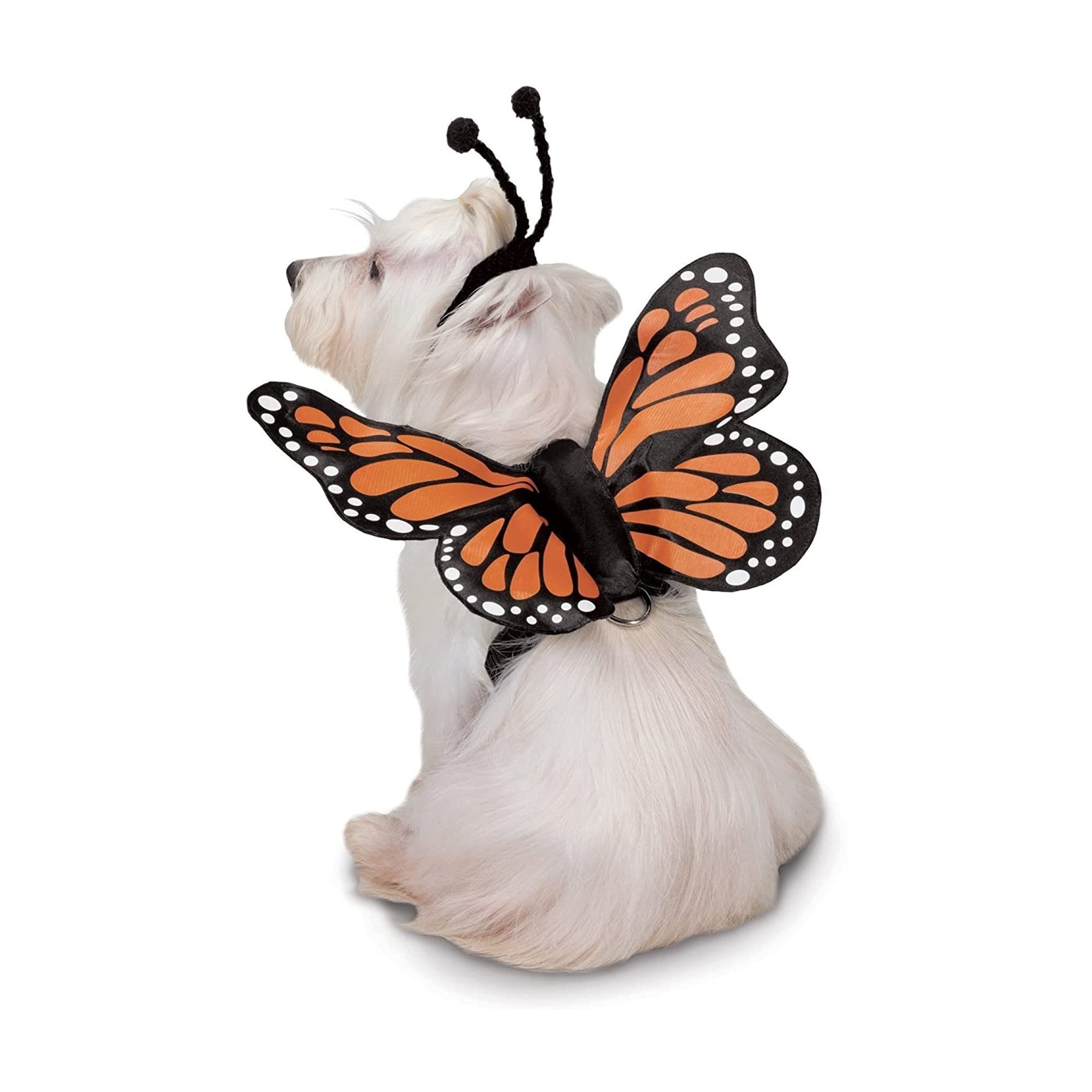 Zack & Zoey Butterfly Glow Harness Costume for Dogs, Medium, Orange, Polyester