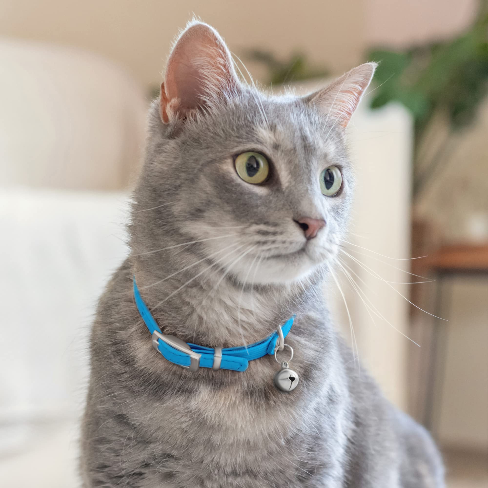 Collardirect Leather Cat Collar With Bell - Kitten Collar, Small And Big Cat Collar For Boy Cats, Girl Cats With Safety Elastic Strap (Neck Fit 8'-11', Light Blue)