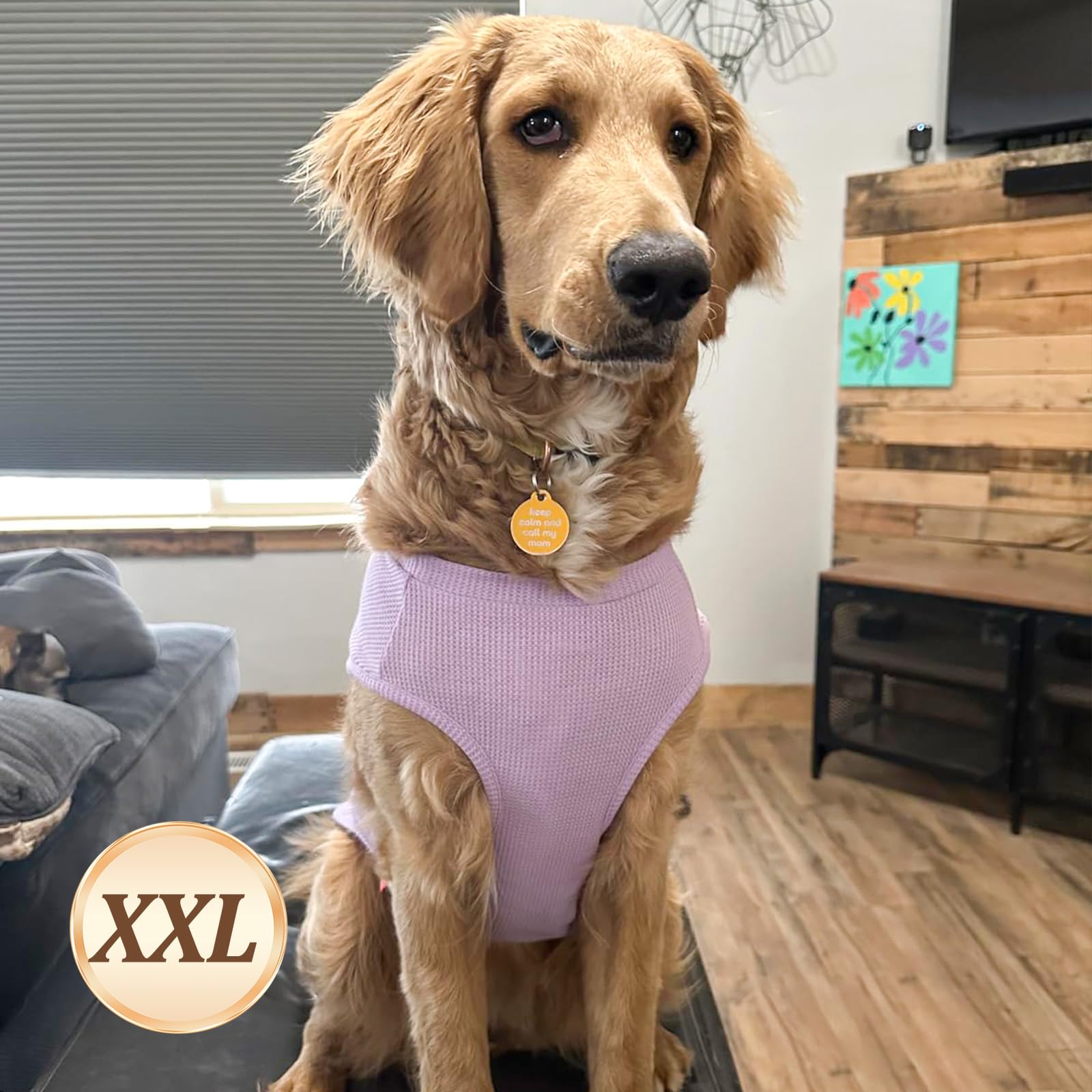 Kyeese 2Pack Dog T-Shirts Waffle, Stretchy T-Shirts, Lightweight Tank Top, Sleeveless Vest, Breathable, Xx-Large, Purple + Grey