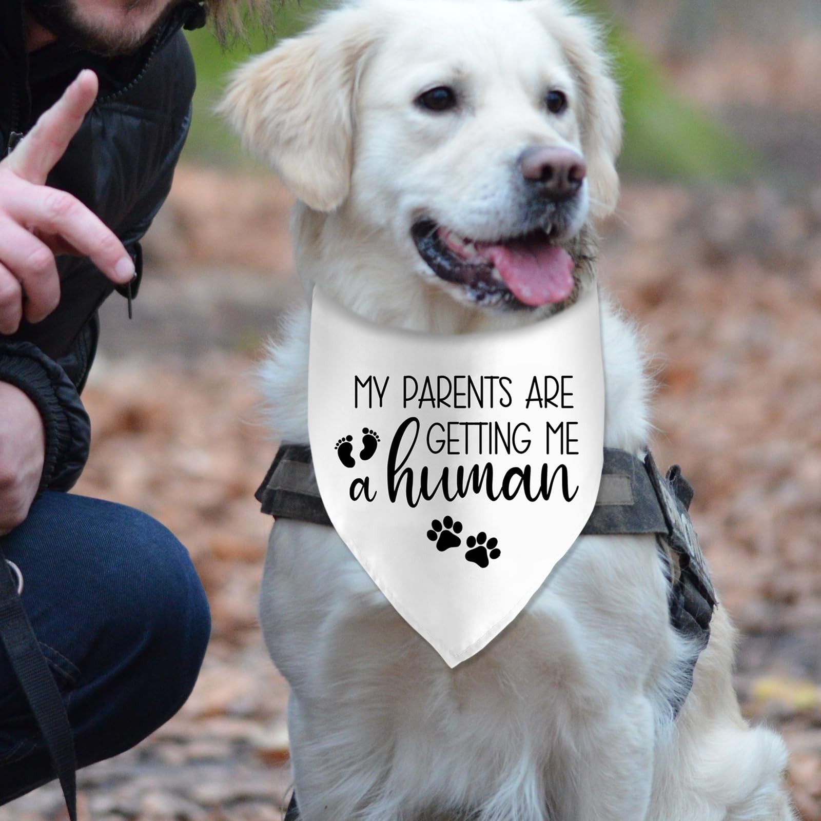 My Parents Are Getting Me A Human Dog Pregnancy Announcement Bandana Pregnancy Dog Bandana For Dogs Pet Accessories For Dog Love