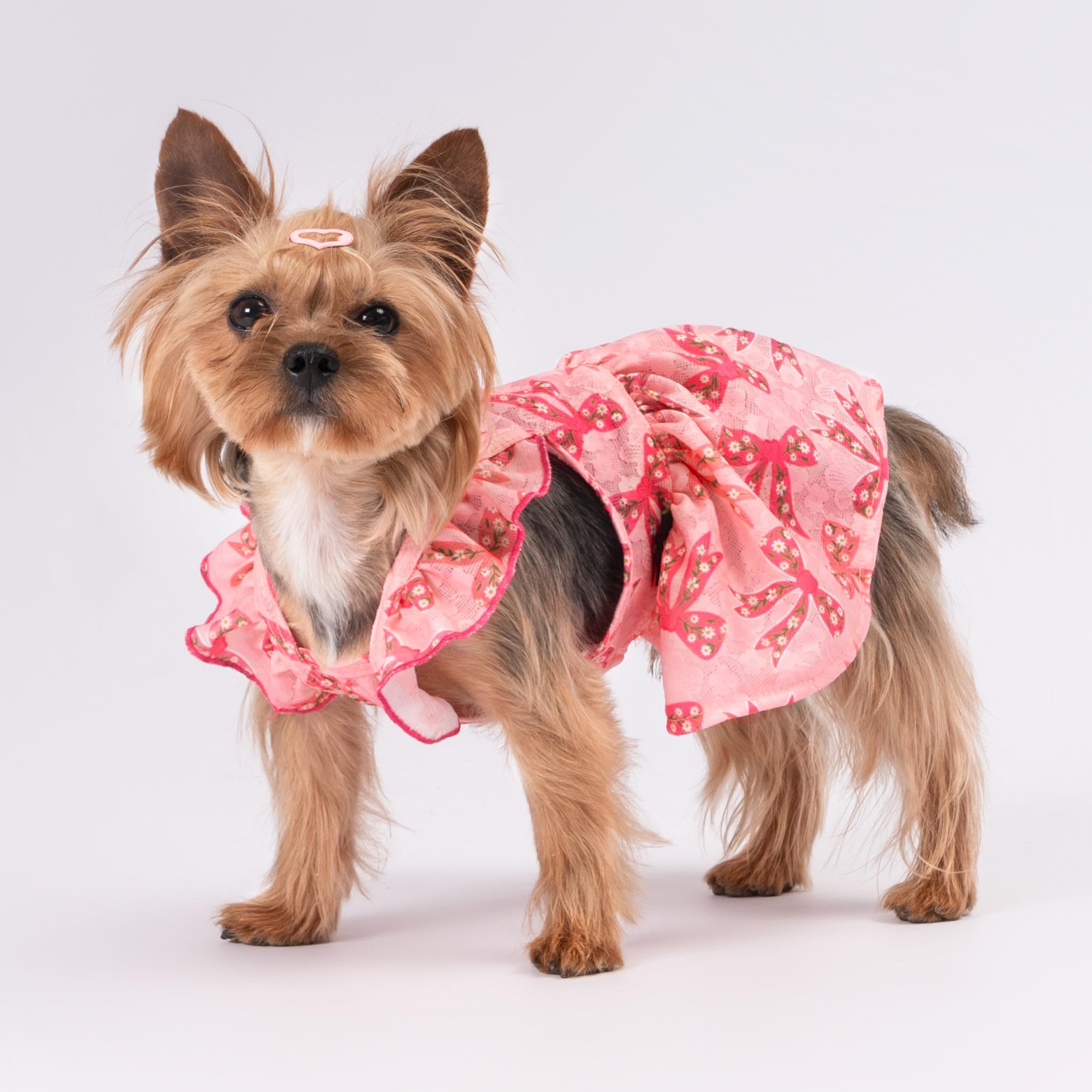 Fitwarm Ruffle Sleeves Bowknot Dog Dress, Birthday Clothes For Small Dogs Girl, Pet Outfit, Pink, Small