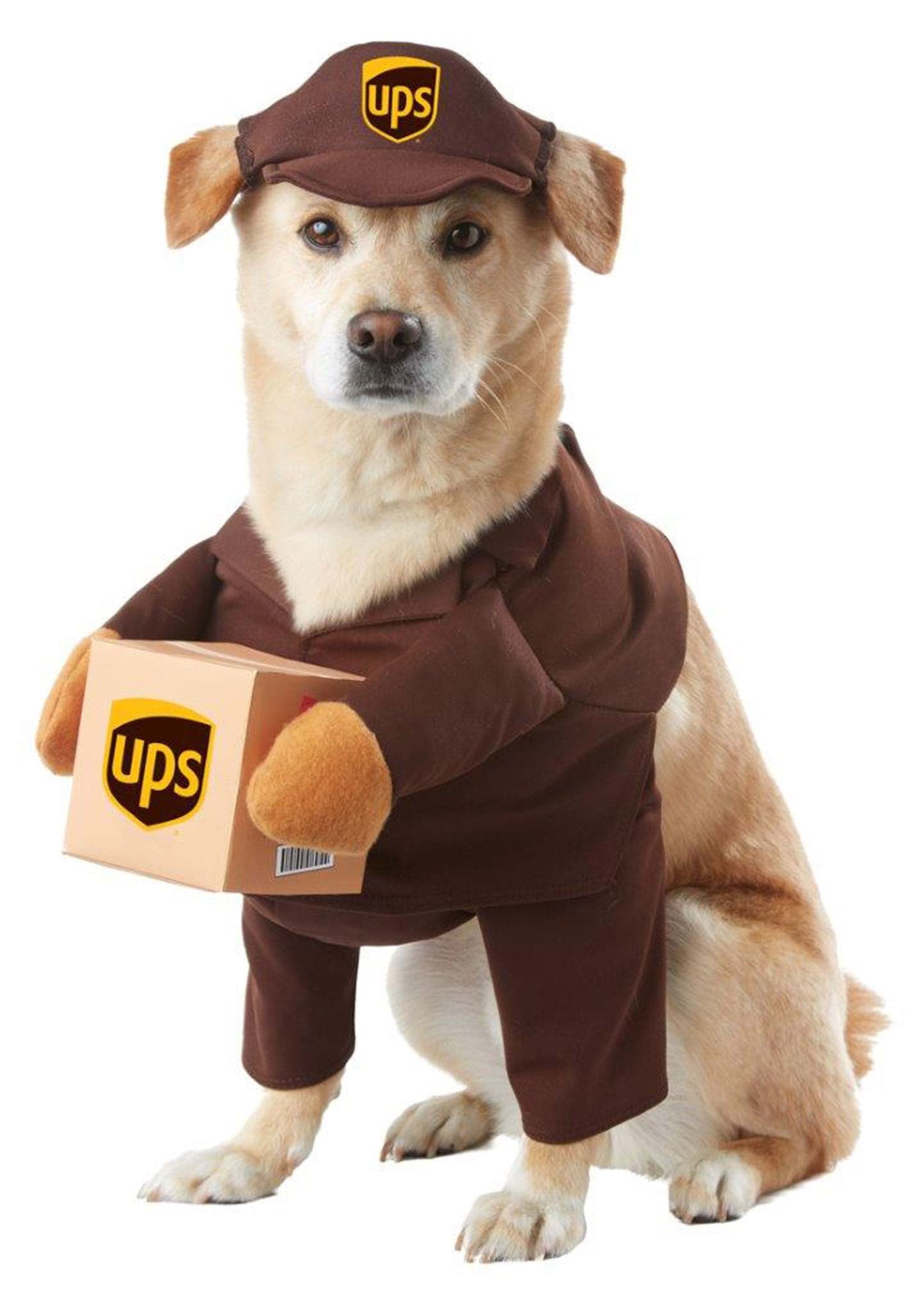 UPS Dog Costume - S
