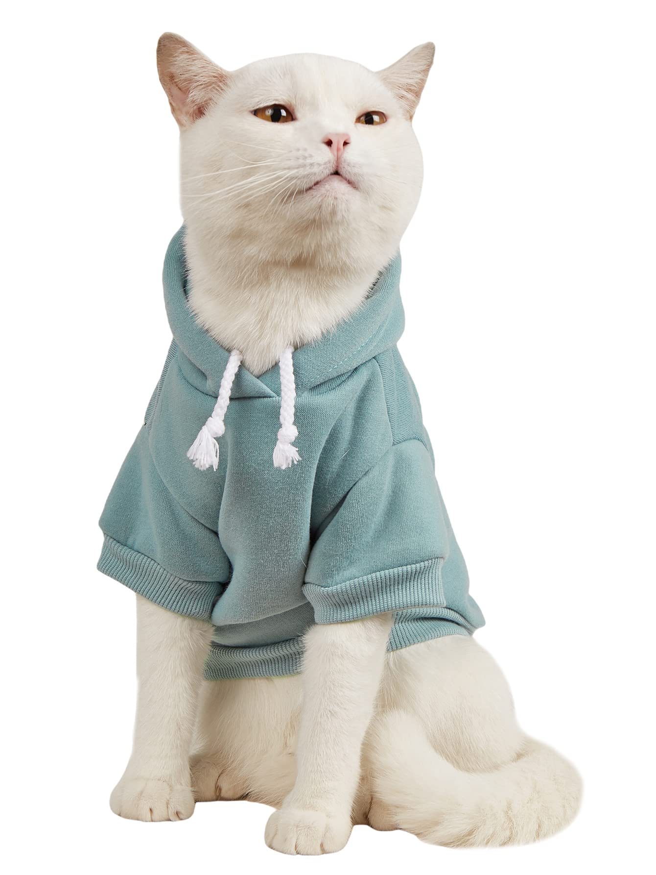 Qwinee Basic Dog Hoodie, Cat Jacket, Dog & Cat Apparel - Cadet Blue Xs To Medium