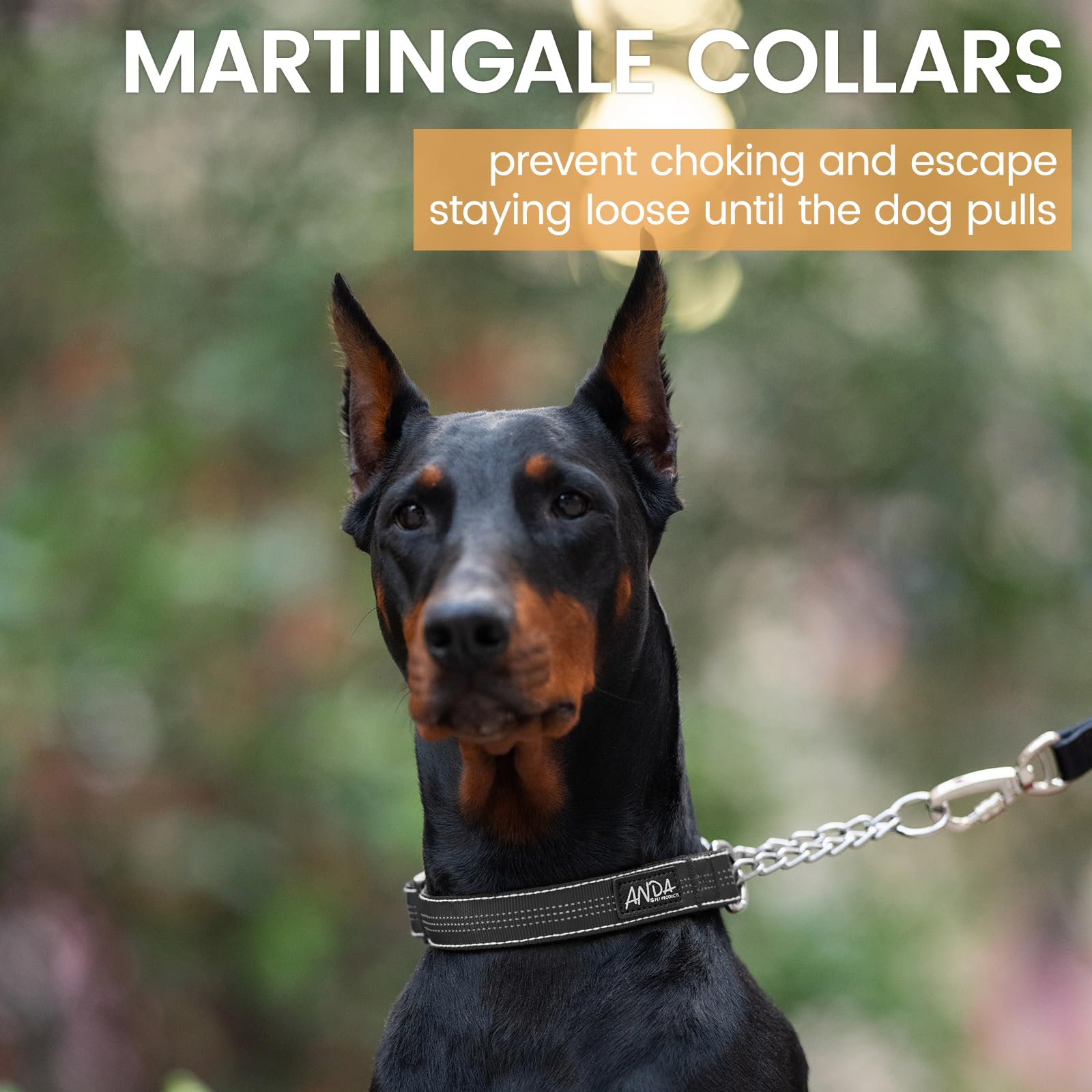 Anda Martingale Collar For Dogs, Adjustable With Reflective Stainless Steel Chain, No-Pull Escape-Proof Training Collar For Medi