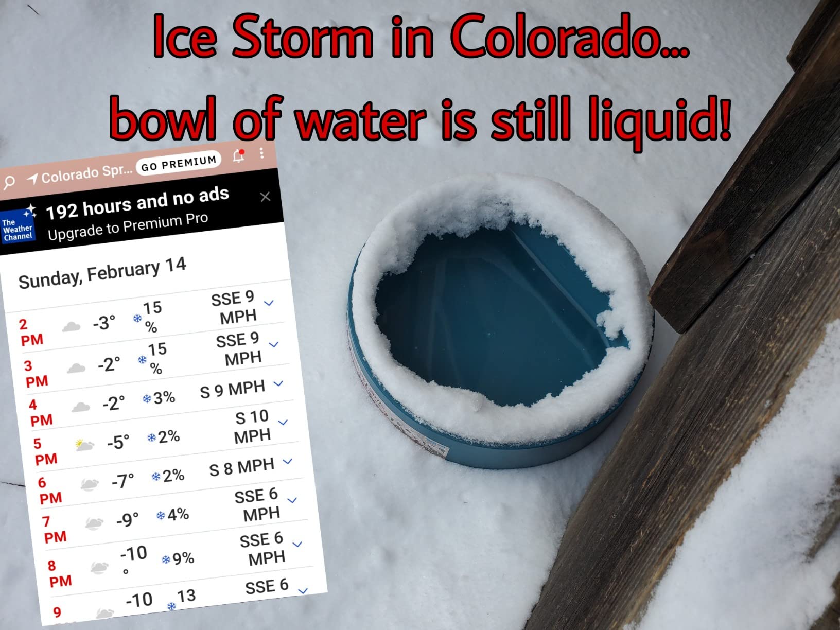 Namsan Heated Water Bowl for Cats Outdoor, 2.2L, Heated Pet Bowl for Chickens Rabbits Farm Animals, Heated Dog Bowl Ice Free in