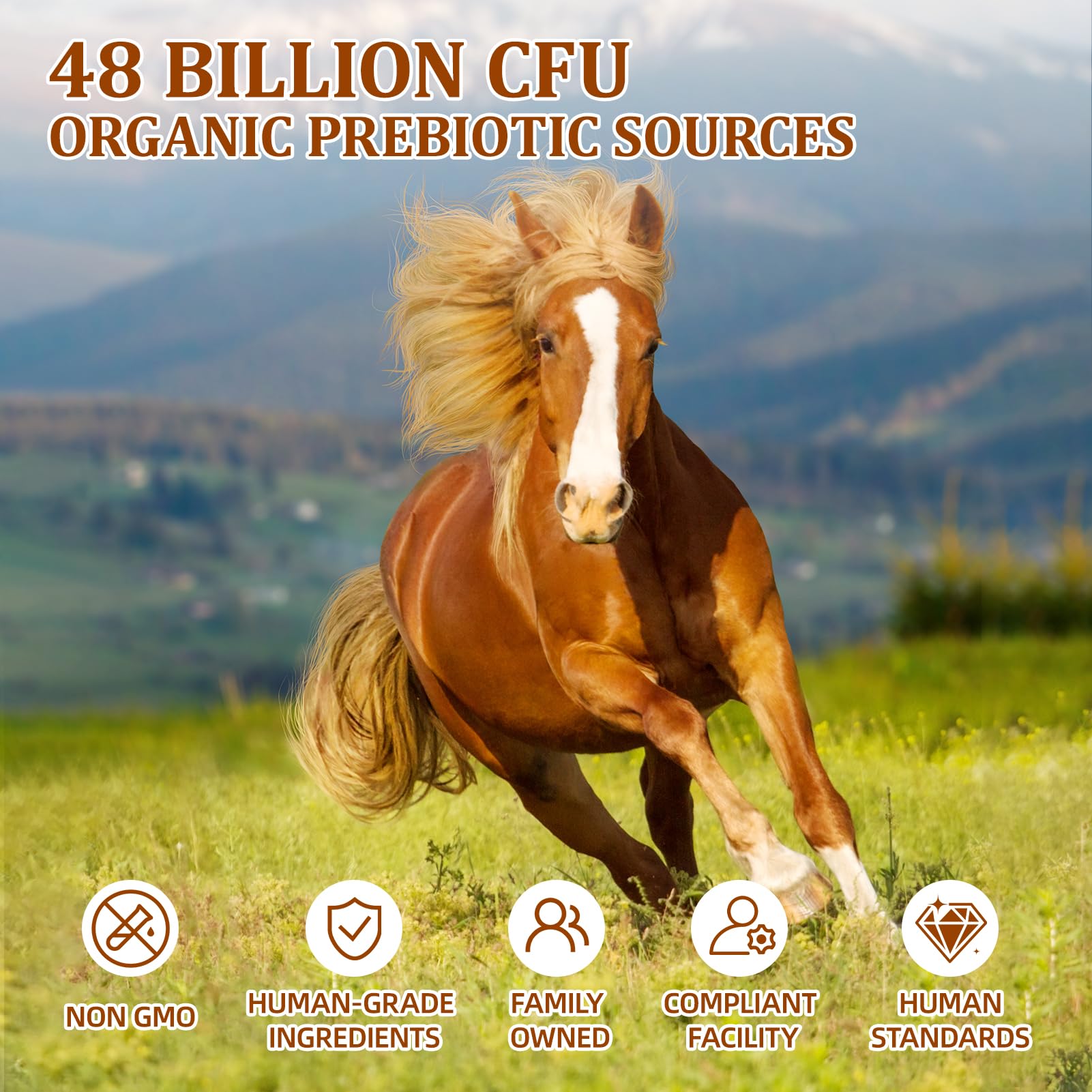 Probiotics for Horses Dietary Supplement, All-Natural Digestive System Maintenance Formula Equine Digestion Support Horse Health