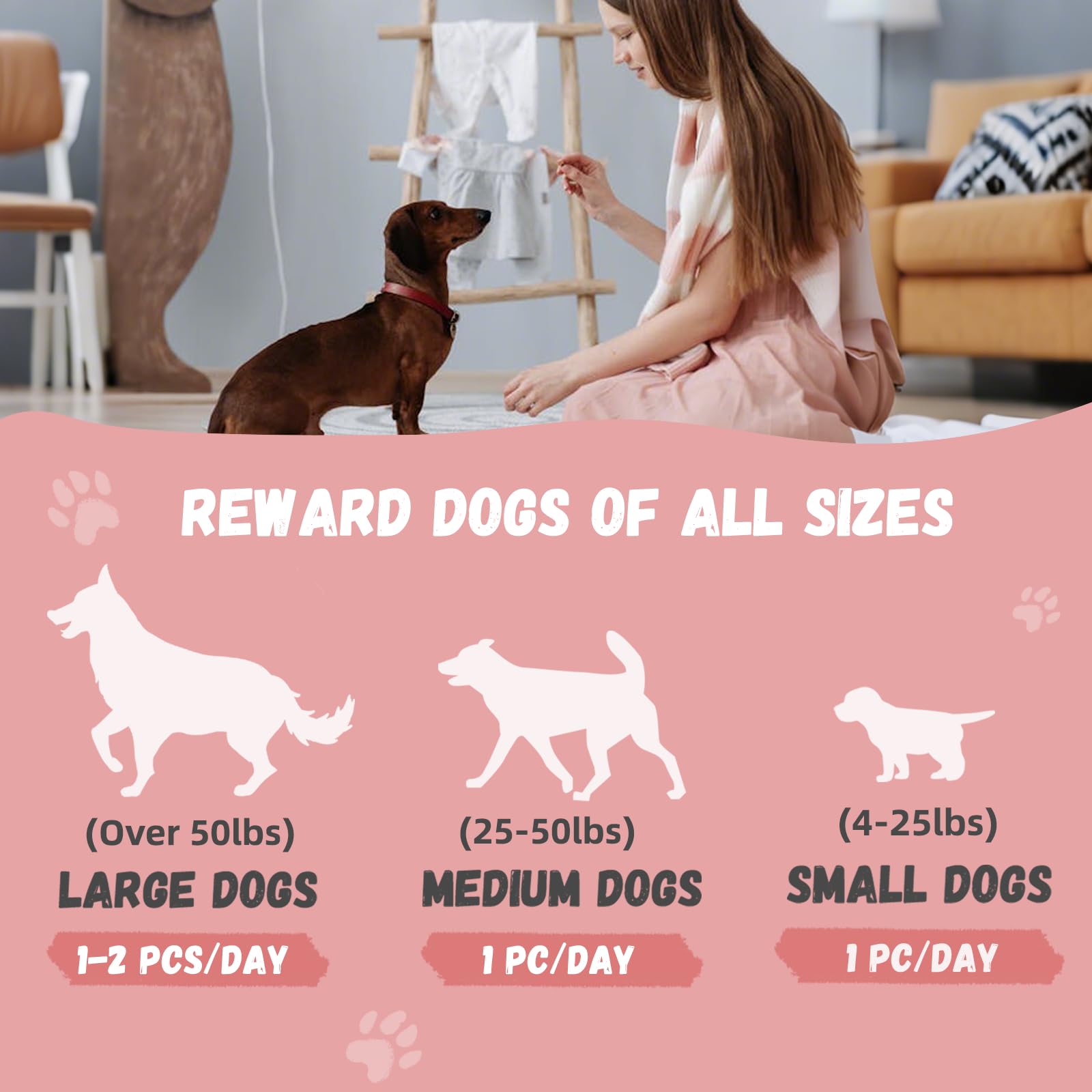 Pawmate 6-in-1 Kabobs Dog Treats, Multi-Flavor Jerky Treats Made with Chicken, Duck, Salmon, Beef, and Rabbit on Rawhide Sticks,