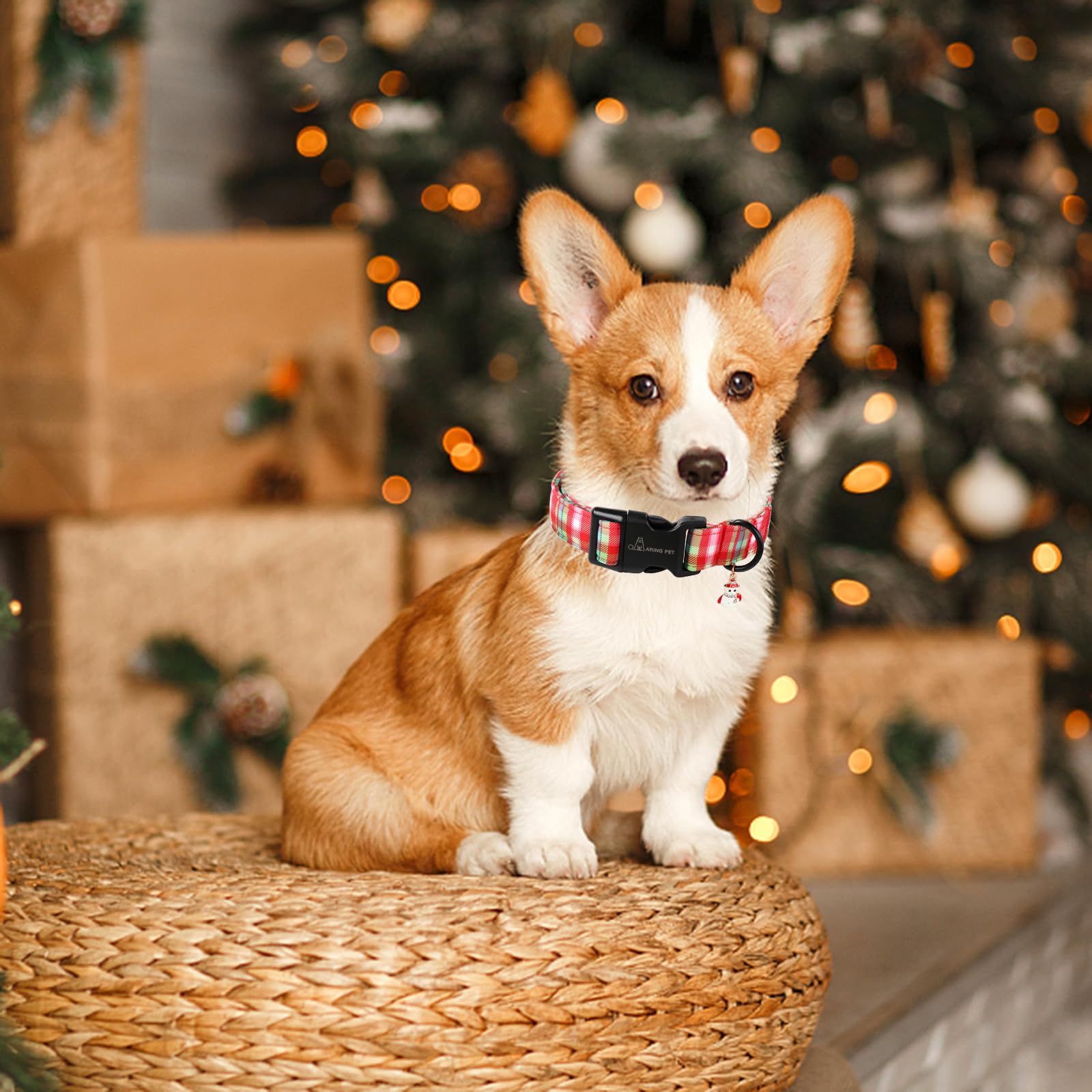 Aring Pet Christmas Dog Collar-Cute Red Green Plaid Dog Collars, Adjustable Christmas Pet Collars Puppy Collar With Quick Releas