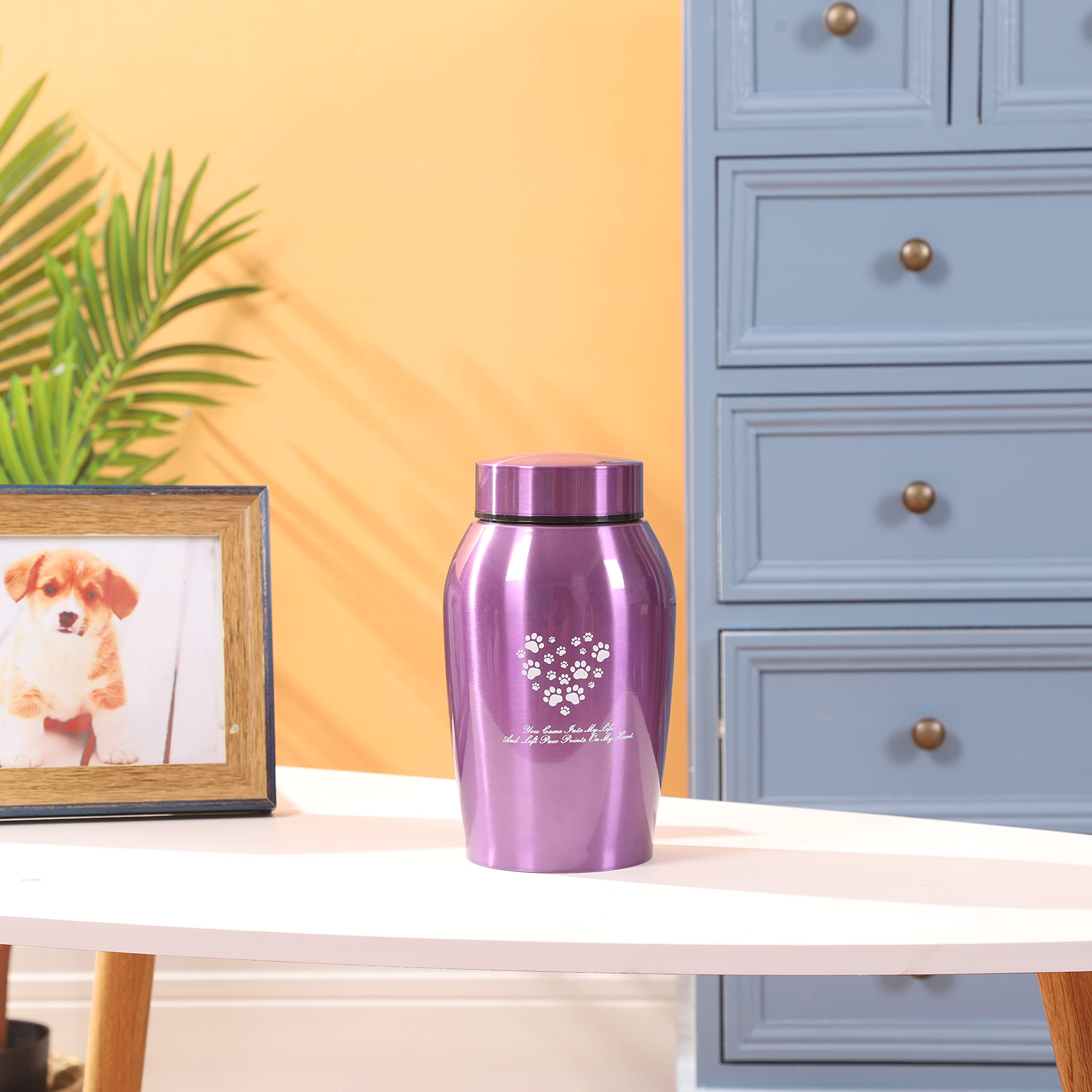 Stainlee Steel Pet Urns,Premium Urns For Dog And Cat Ashes,Paws Engraved Dog Urn For Ashes,Cat Creamtion Urn For Ashes,Pet Urn F