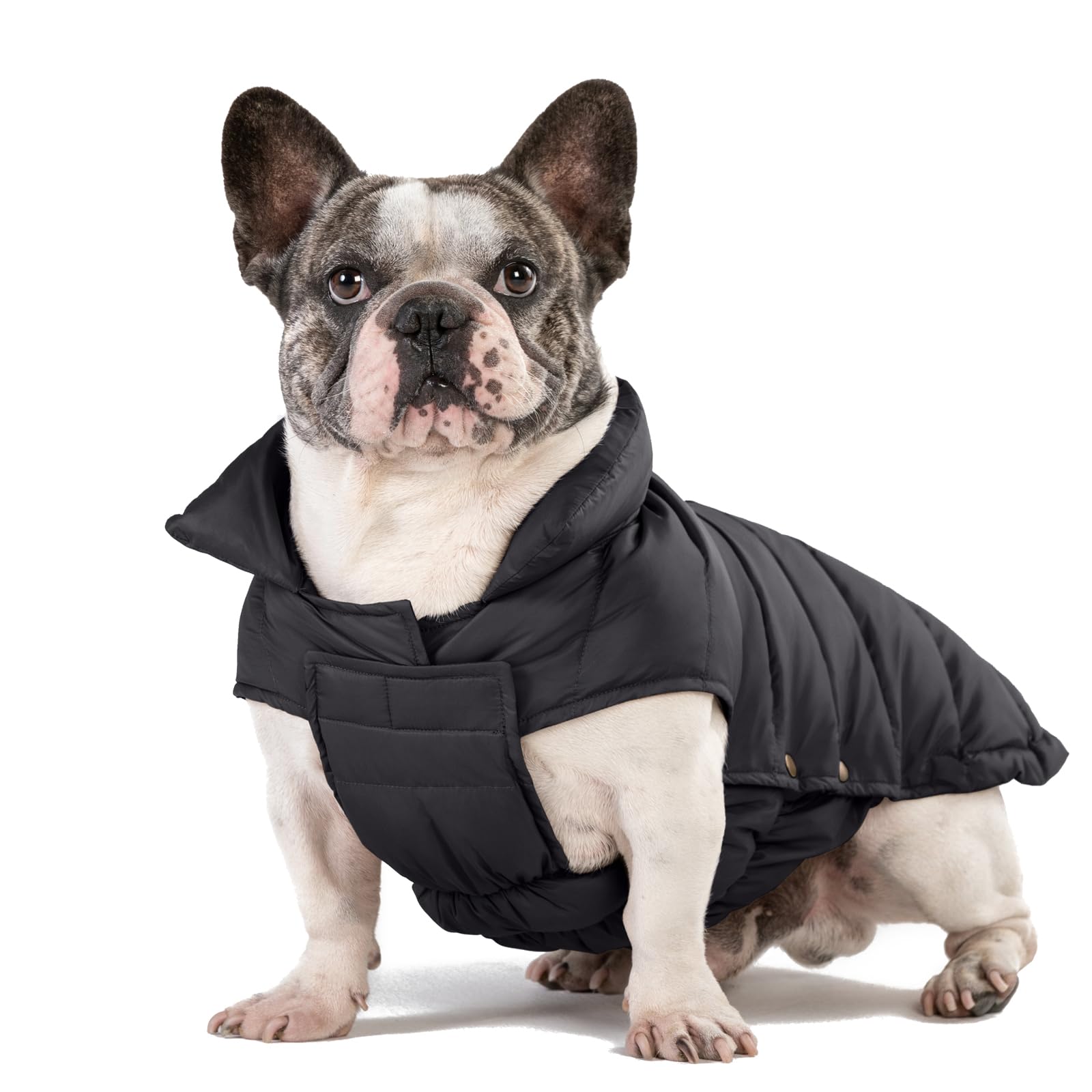 Space Lion Dog Puffer Jacket, Down Winter Coat, Waterproof, Windproof, Lightweight Jacket, Adjustable Fit Coat For Medium Dogs(B