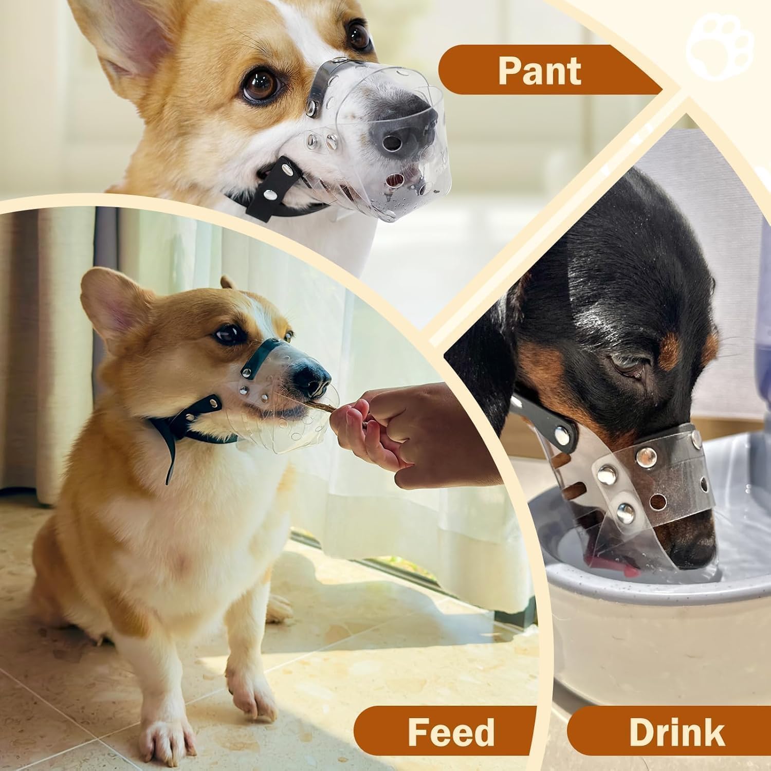 Mayerzon Dog Muzzle, Basket Muzzle For Small Medium Dogs Poodle Dachshund Corgi, Clear Puppy Mouth Cover For Grooming Vet Visits