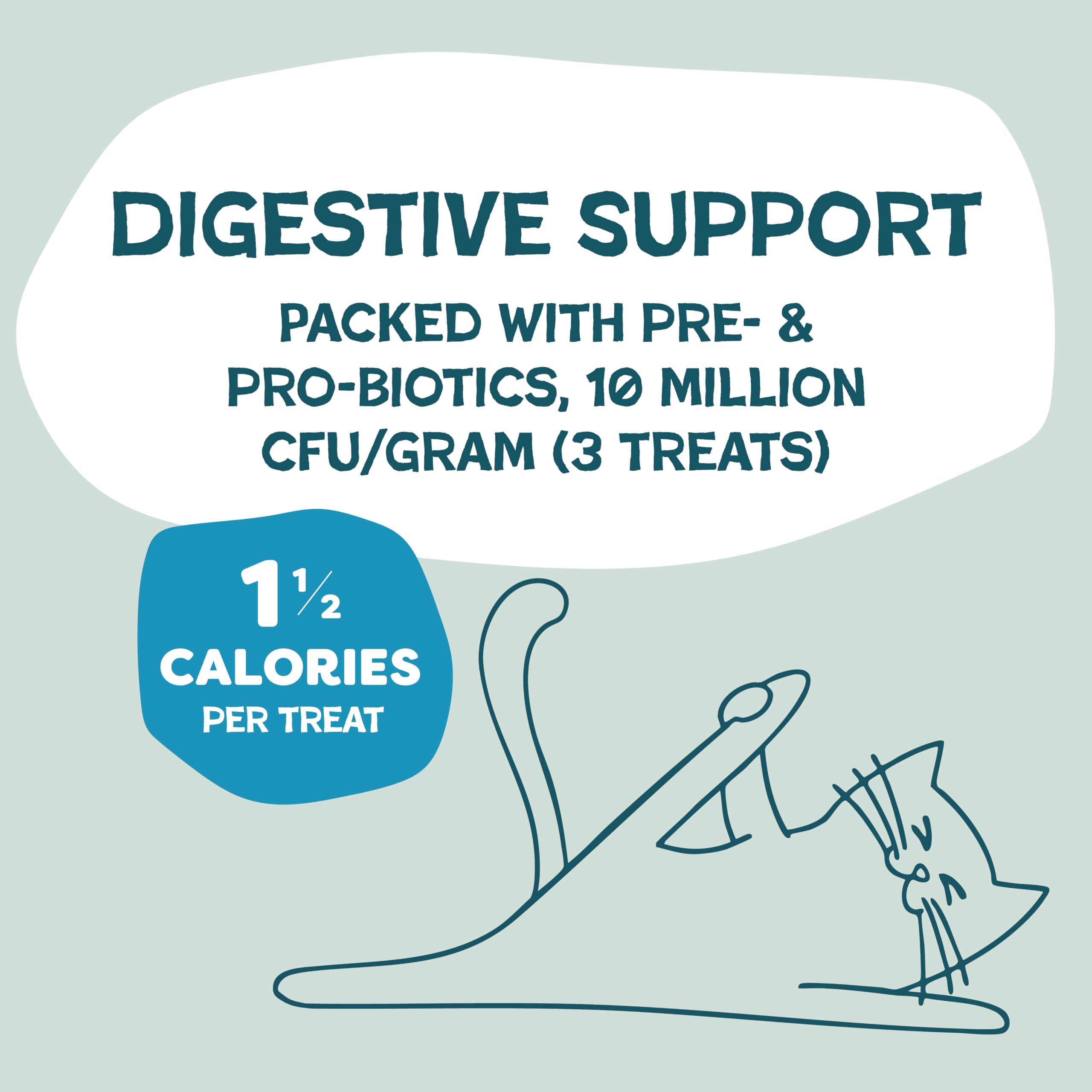 Shameless Pets Crunchy Cat Treats - Catnip Treats for Cats with Digestive Support, Kitten Treats with Real Ingredients, Natural