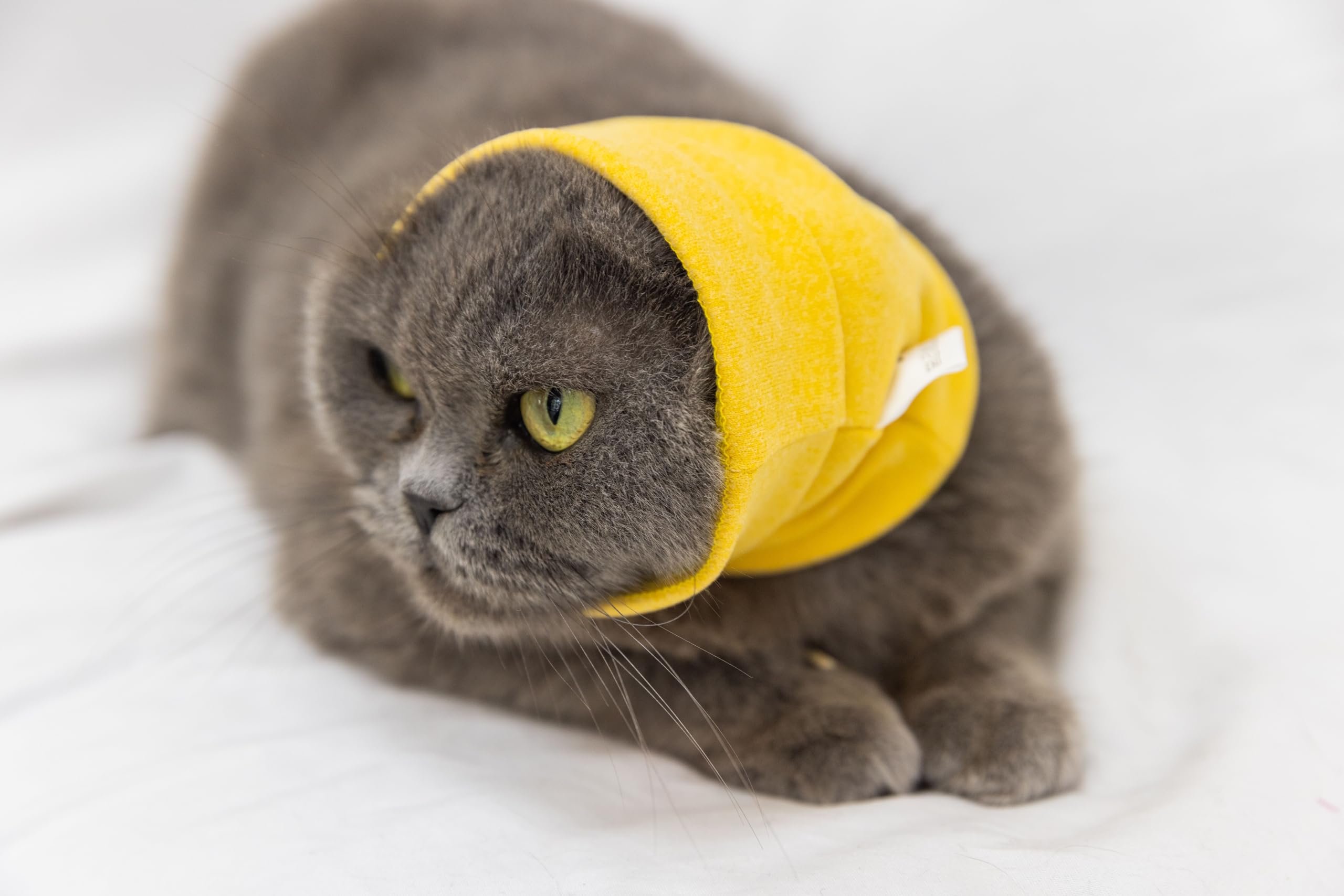 DDFS Soothing Cat Head Wrap Comfort Anti Anxiety Relief Quiet Ears Cat Snood for Grooming Yellow S