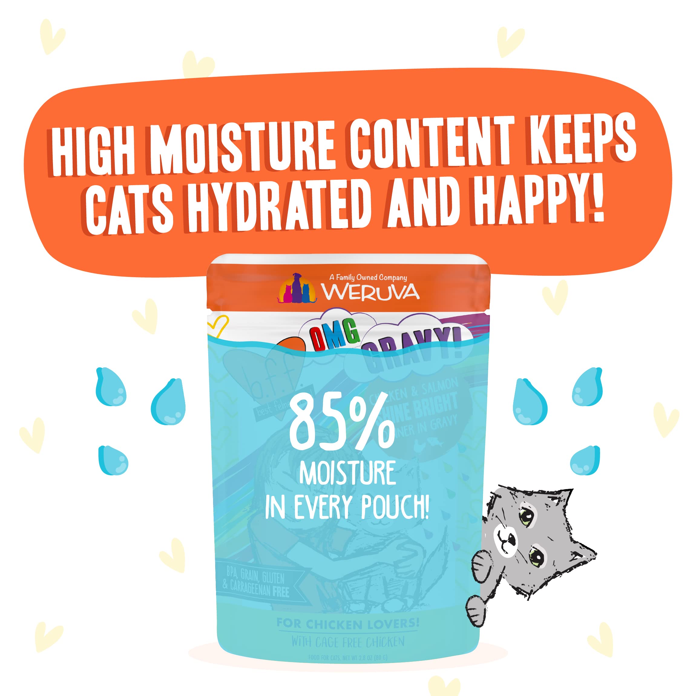 Weruva B.F.F. OMG - Best Feline Friend Oh My Gravy!, Chicken & Salmon Shine Bright with Chicken & Salmon in Gravy, 2.8oz Pouch (