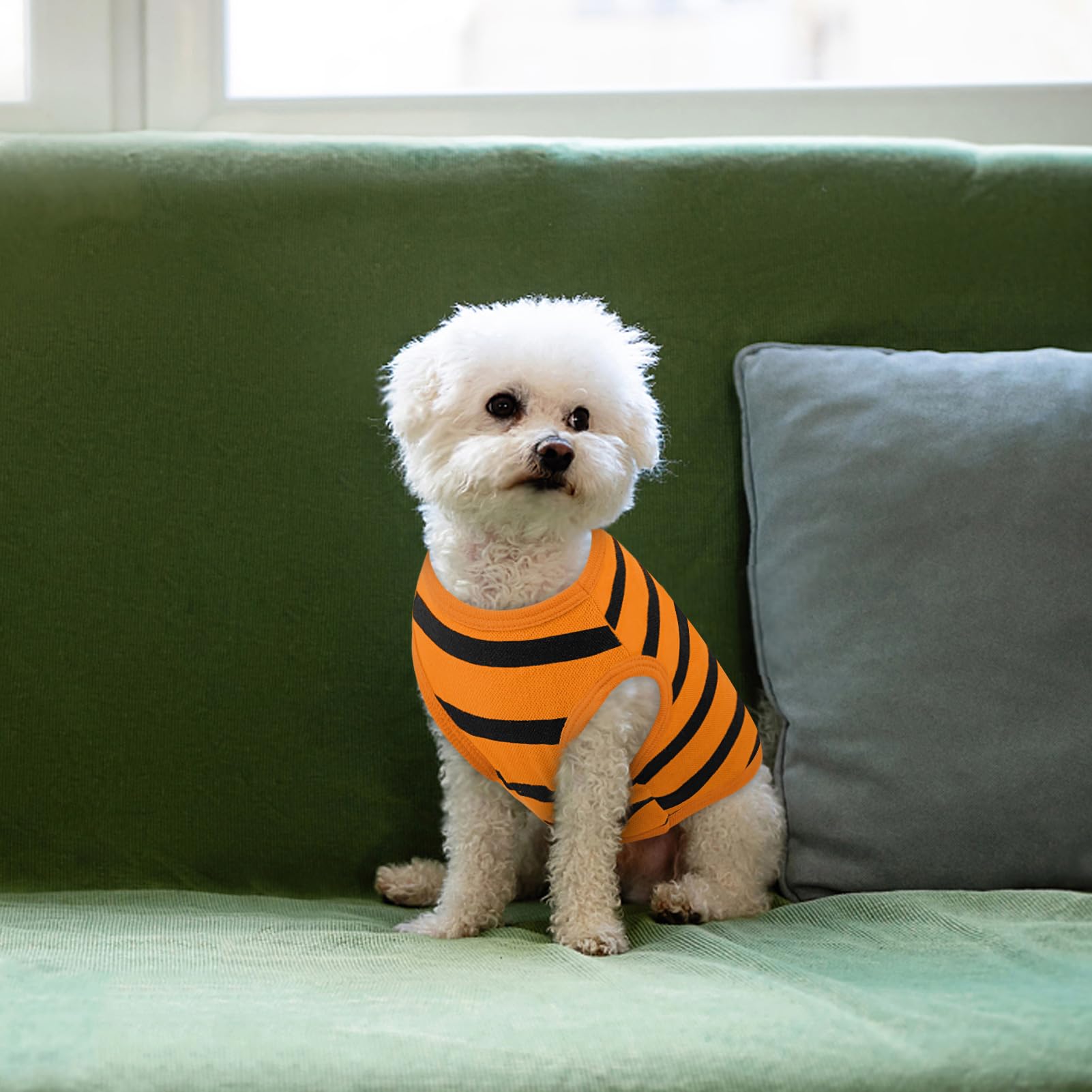 Queenmore Large Dog Shirt,Soft Breathable Dog Shirt For Dogs Cats Boy Girl,Pet Clothes For All Season,Breathable Lightweight Pet