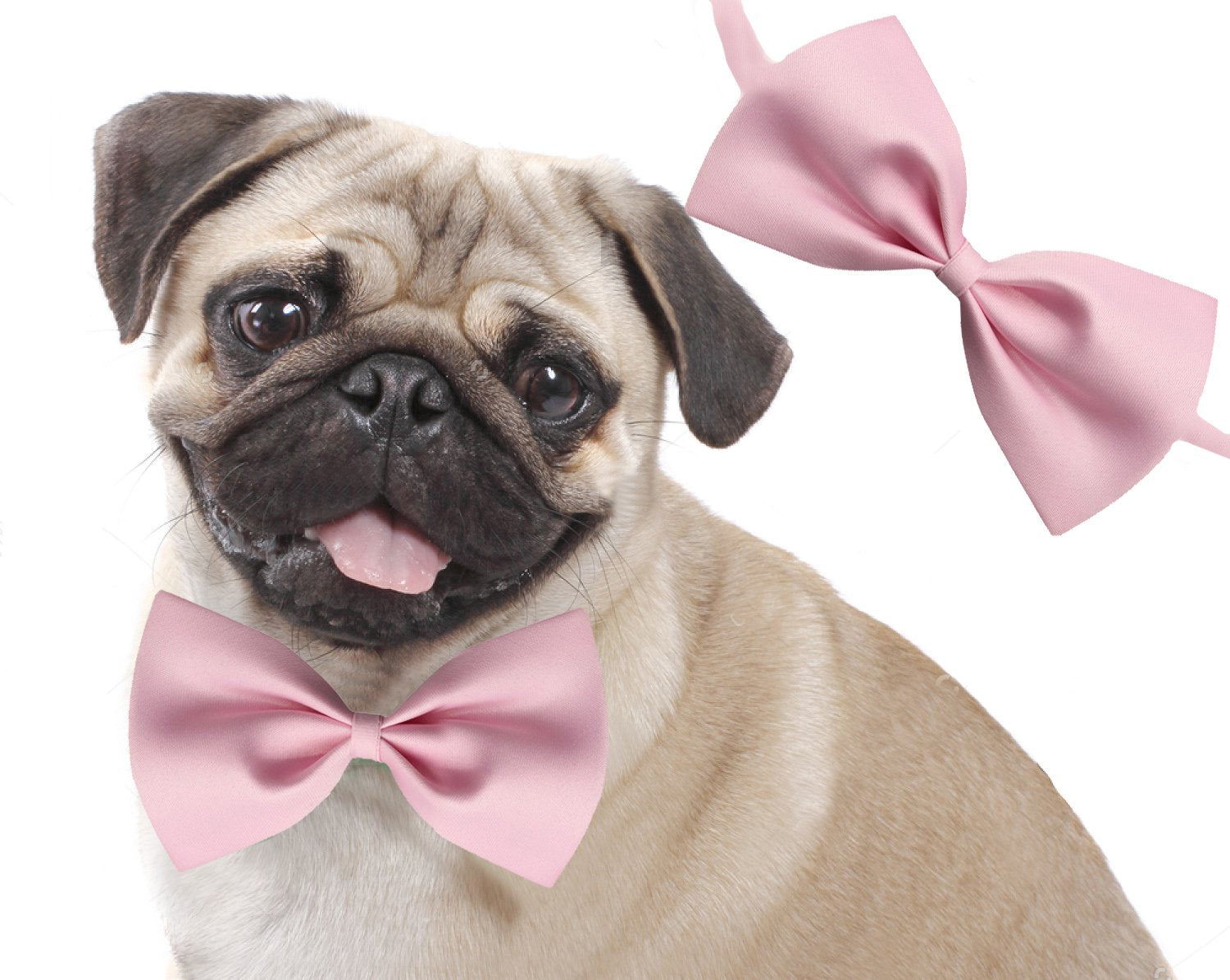 Sage Square Jumbo Size Adjustable Party, Function, Weeding Cum Formal Costume Neck Bow Tie Cum Necktie For Dog/Puppy/Cat/Kitten