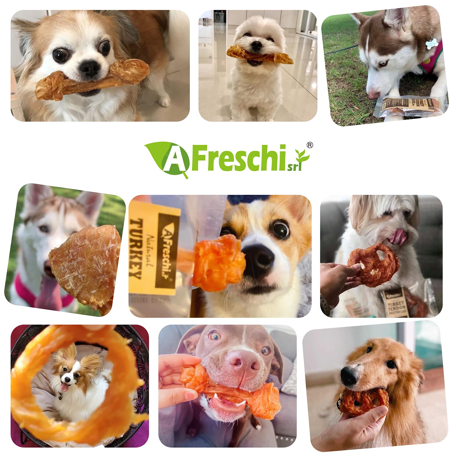 Afreschi Natural Turkey Tendon Lollipop Pack of 4, Dog Treat for Signature Series, All Natural Human Grade Puppy Chew, Turkey So