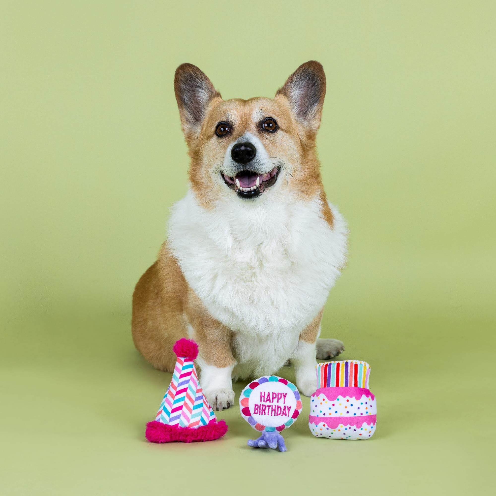 Fringe Studio ''Can I Get A Woof-Woof!, Set Of 3, Small Plush Dog Toy Set, Pet Shop Collection (662056)