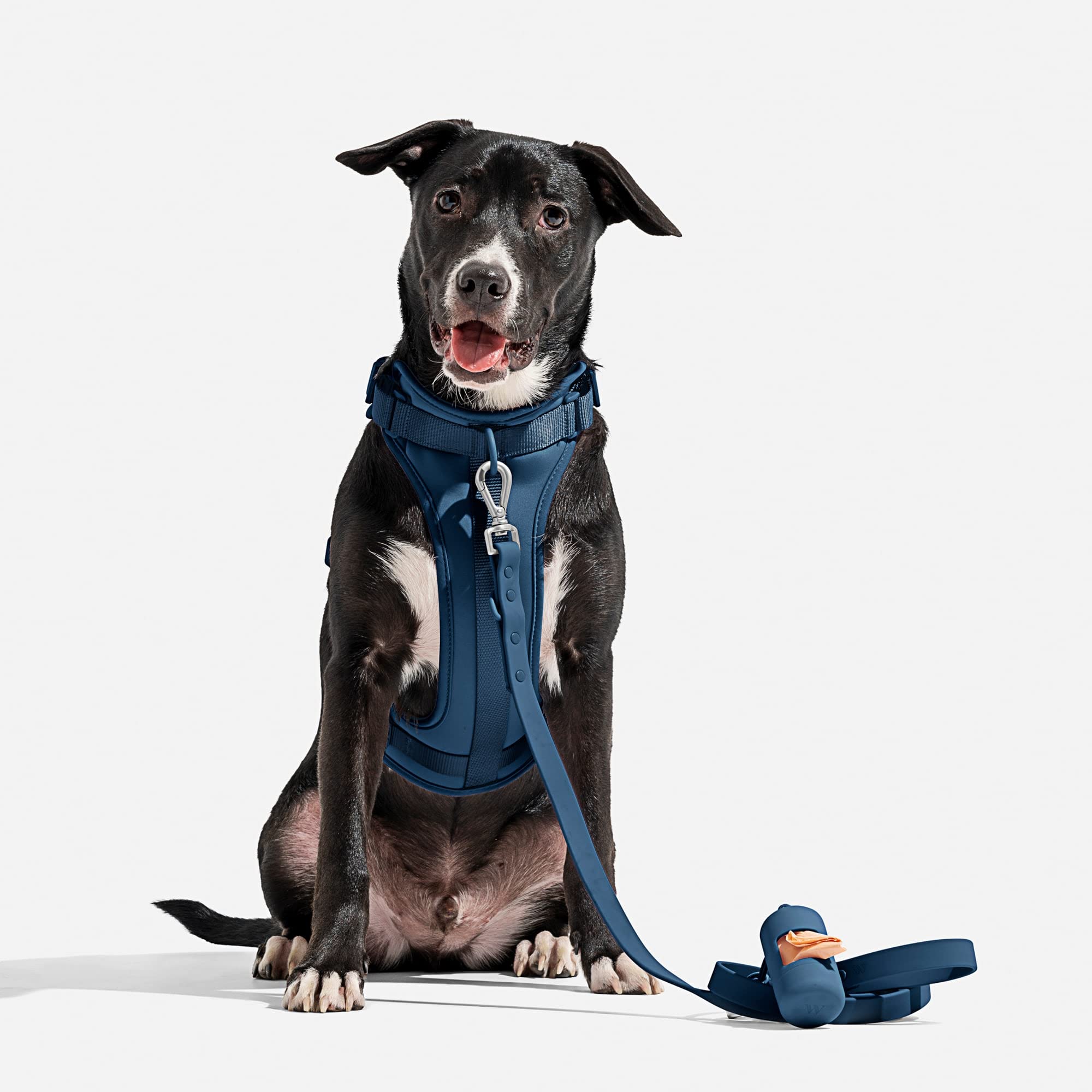 Wild One Harness 2.0 - Large - Blue