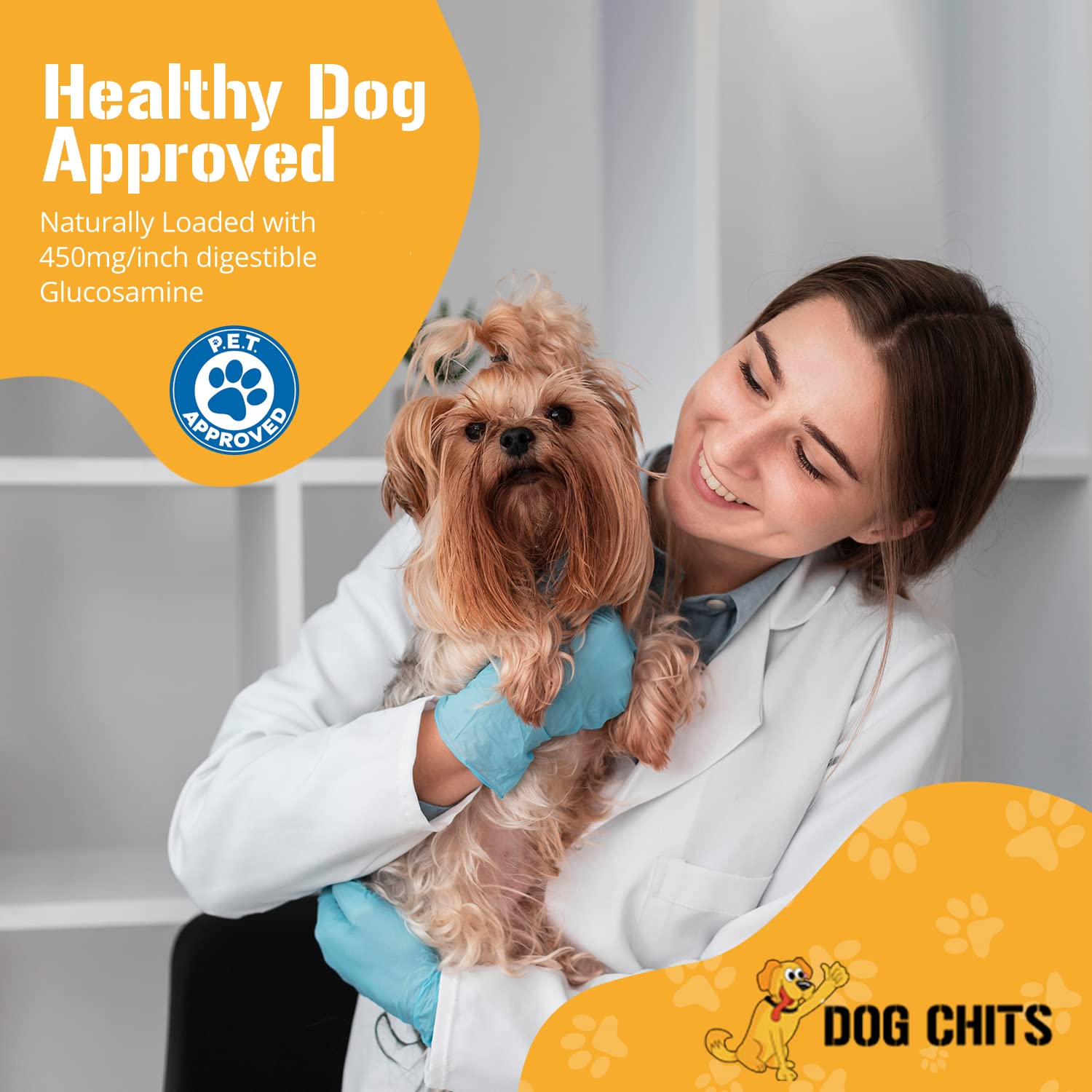 Dog Chits Pig Ears Dog and Puppy Treats - All Natural Grain and Chemical Free Training Chews - High Protein and Low Fat - Suppor