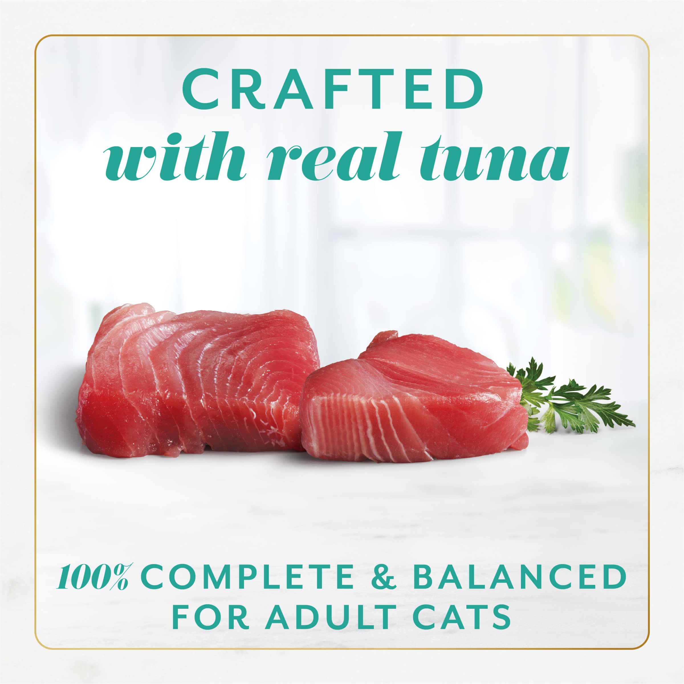 Fancy Feast Gems Pate Cat Food Mousse With Tuna and a Halo of Savory Gravy Cat Food - (Pack of 8) 4 oz. Boxes