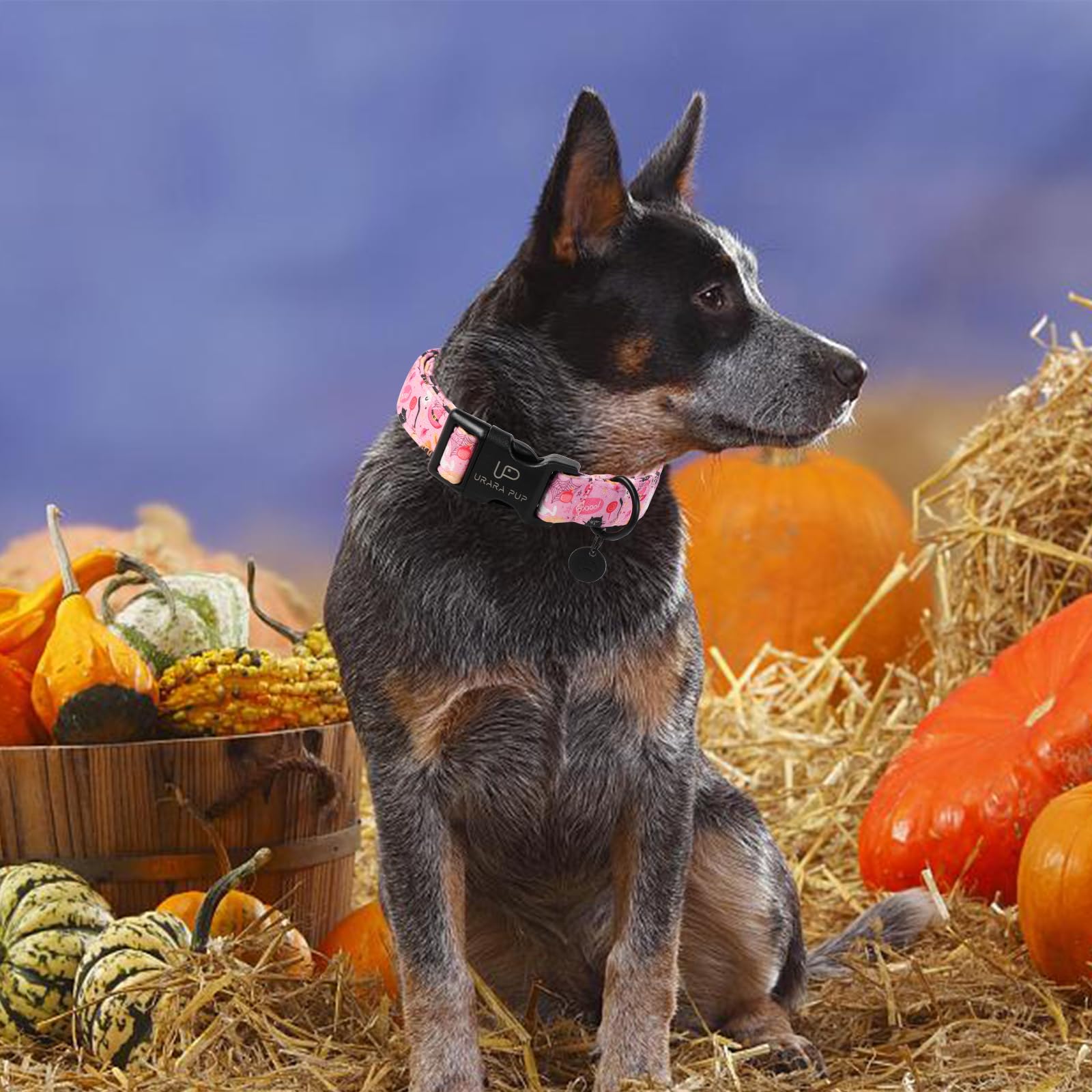 Up Urara Pup Halloween Dog Collar, Autumn Cotton Collar For Boys Or Girls Dogs, Cute Pink Comfortable Pet Collar With Lightweigh
