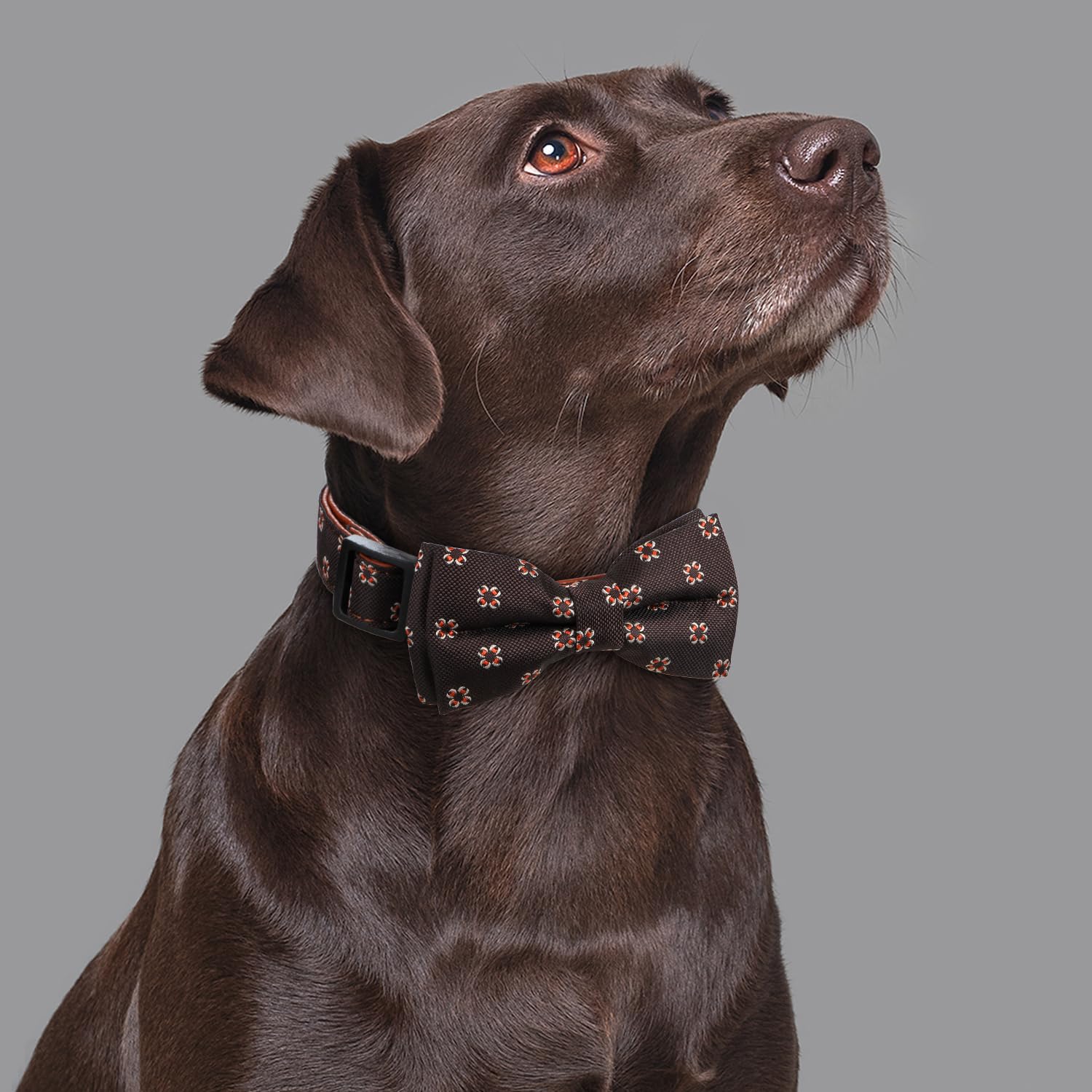 Rhea Rose Bowtie Dog Collar Flower Floral Pattern With Bow Tie Brown For Boy Girl Dogs Large