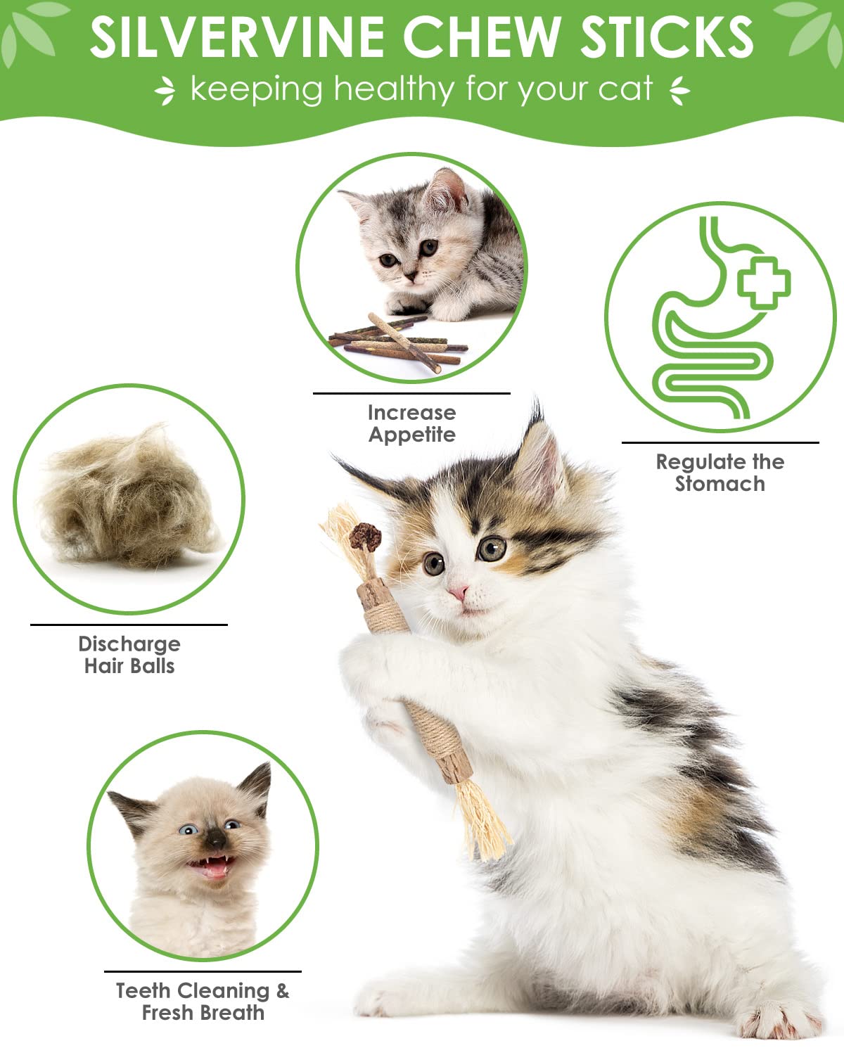 Tindtop Silvervine Sticks, 10 Pack Natural Catnip Chew Toys For Kittens Teeth Cleaning, Increase Appetite, Calm Anxiety And Stress, Aggressive Chewers Toy