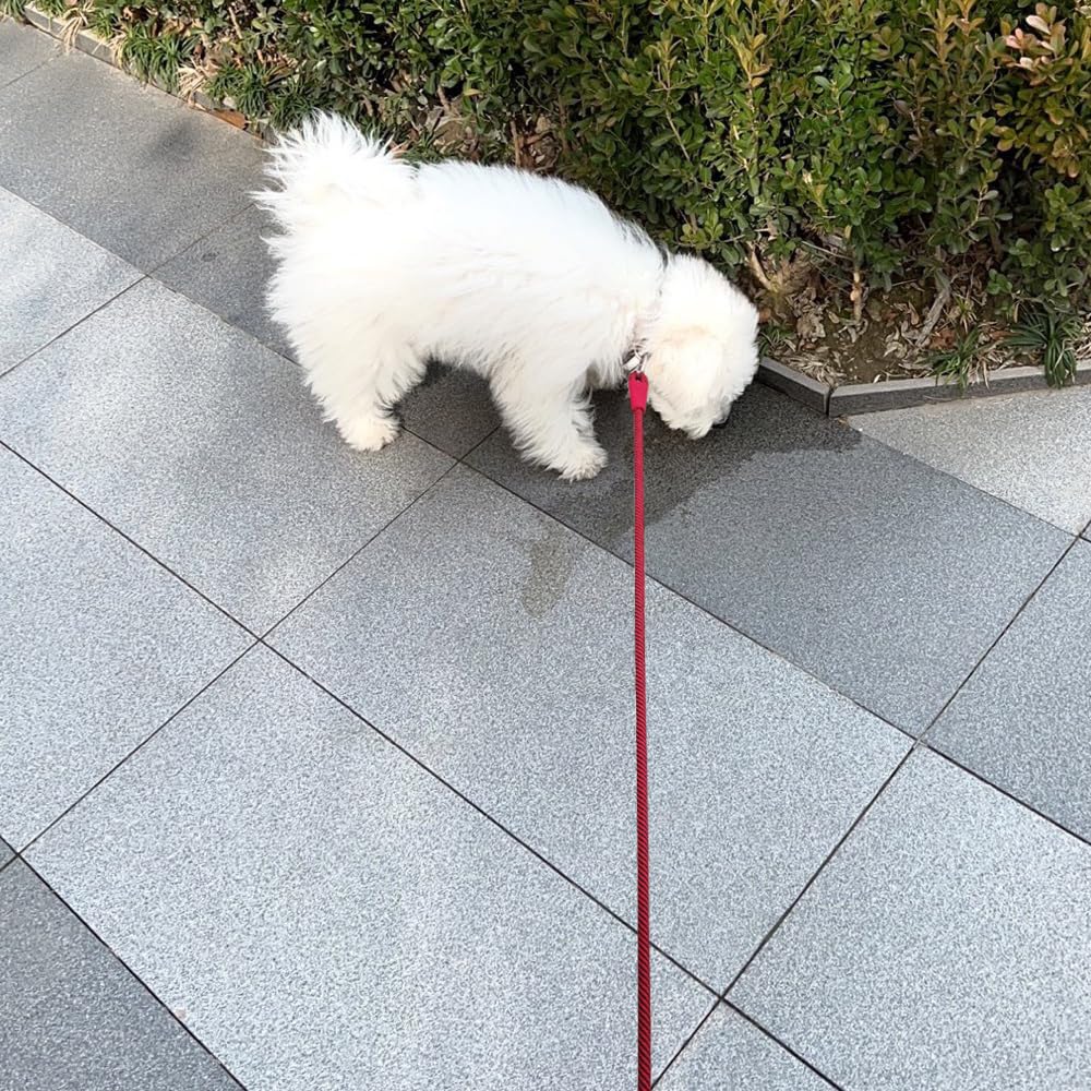 Boswany Small Dog Leash 7Ft, Lightweight Nylon Rope Leash For Puppy Pets, Cats, Small Animals Medium Dogs Walking, Red