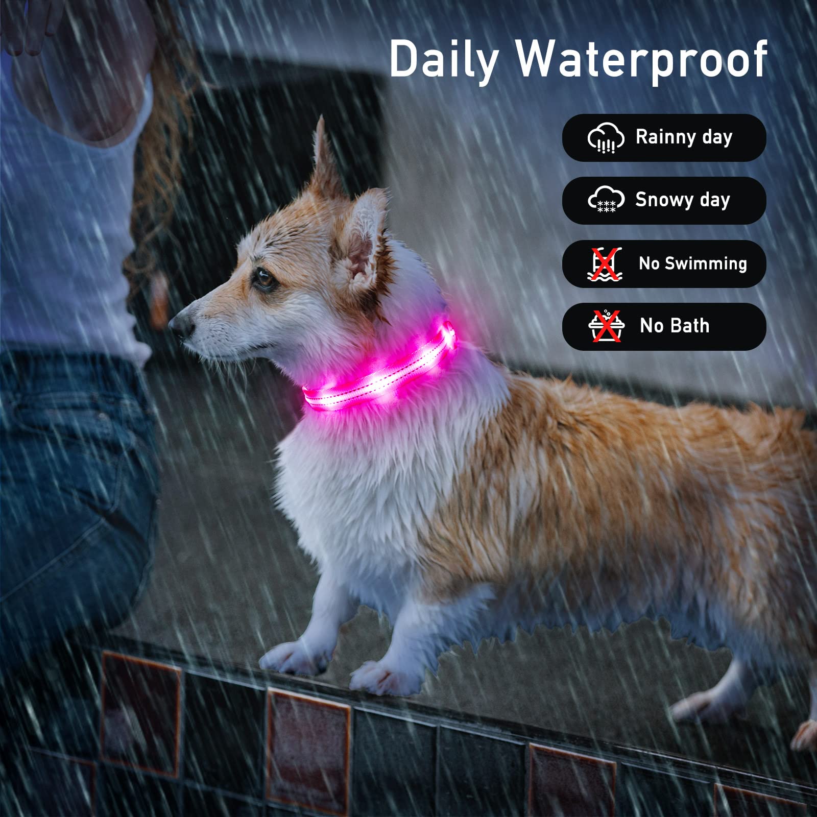 Pzrlit Light Up Dog Collars For Small Medium Large Dogs, Adjustable Led Dog Collar, Rechargeable Soft Glow Collar For Dog Cat Night Walking, Pink