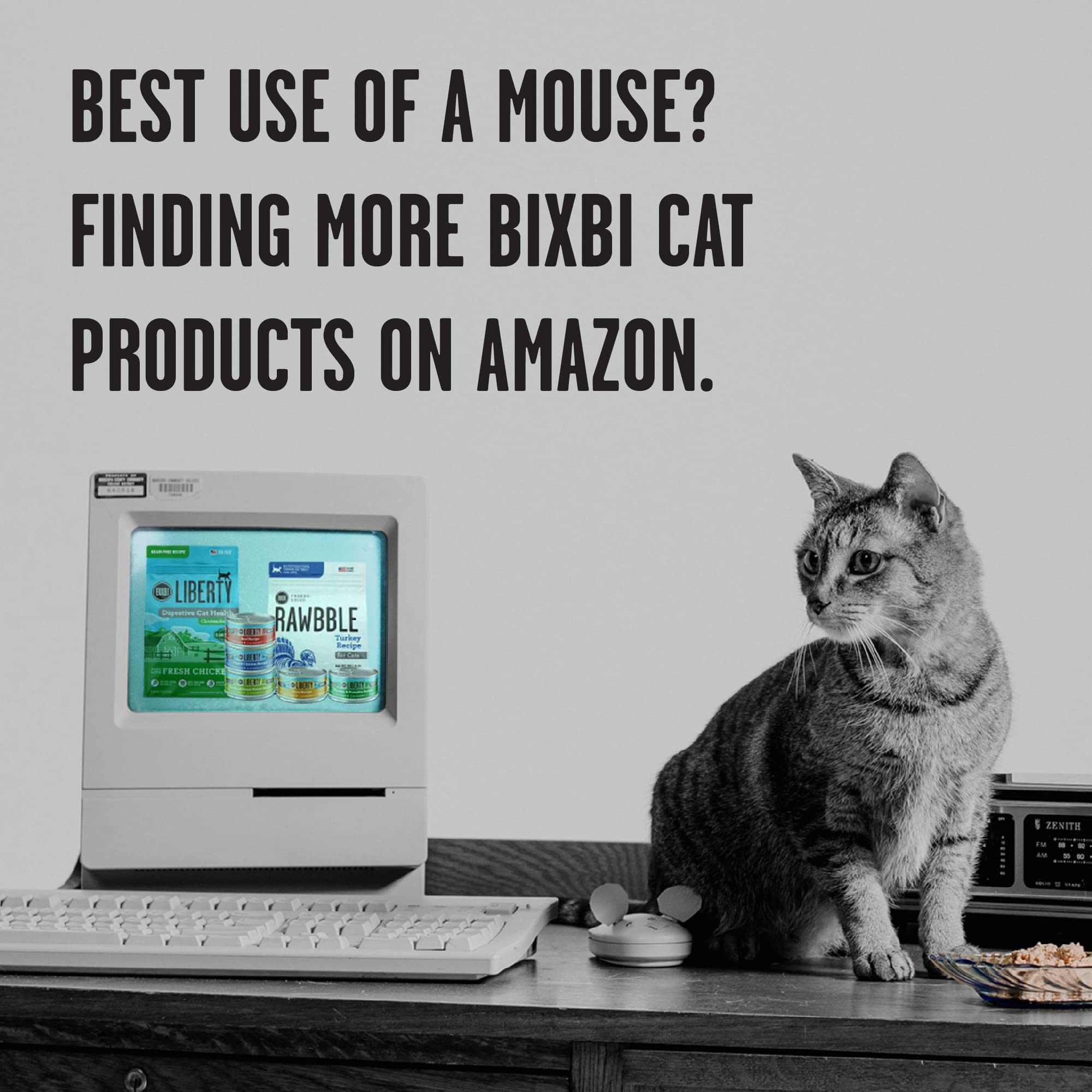 BIXBI Rawbble Freeze Dried Cat Food, Chicken Recipe, 3.5 oz - 95% Organs and Bone Raw Cat Food - USA Made