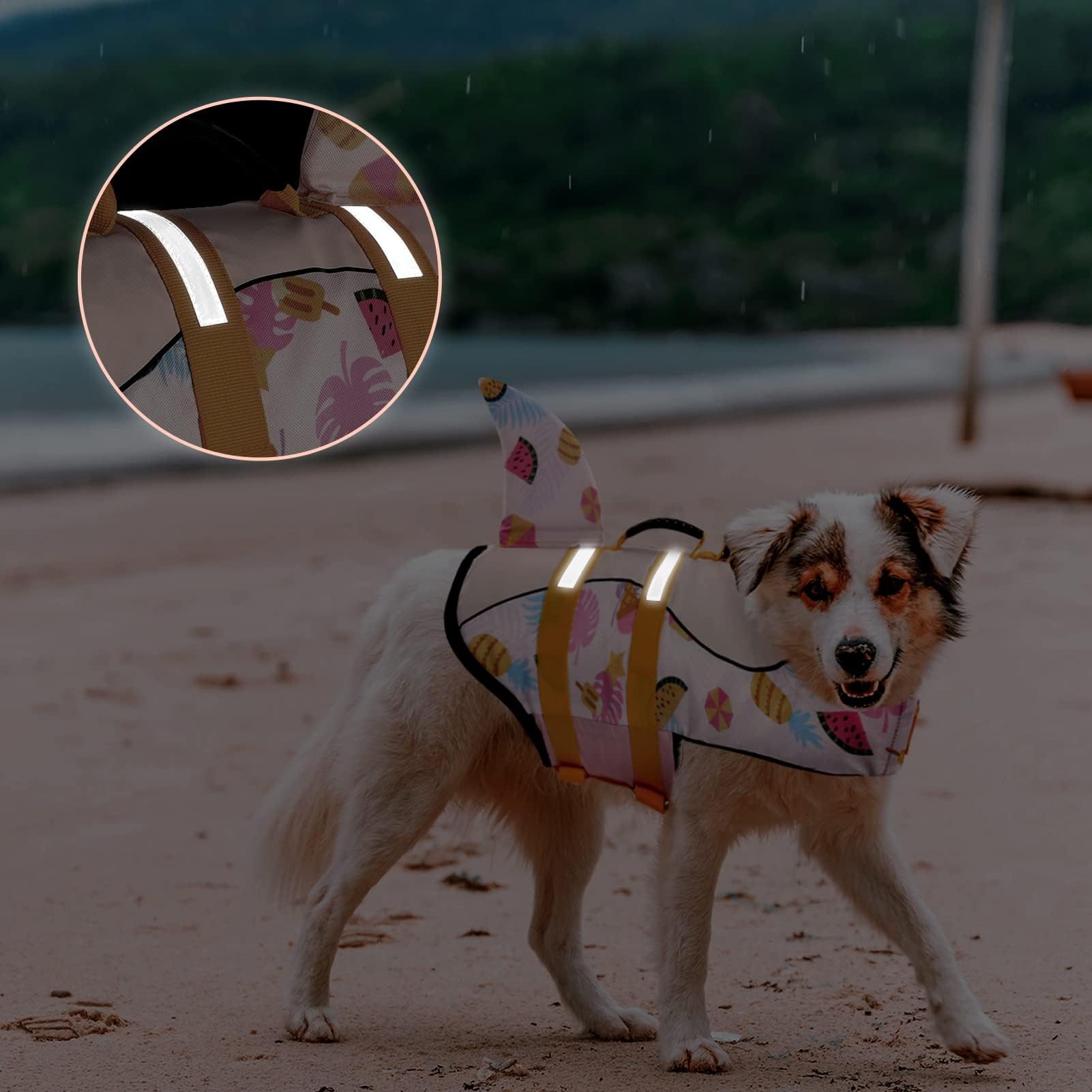 Asenku Dog Life Jacket Pet Life Safety Vest For Swimming Boating, Dog Shark Life Jackets Dog Lifesavers Swimsuits For Pool, Dog