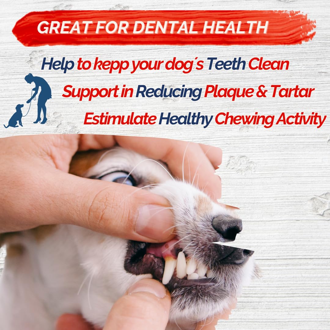 Fresh Farms 2 Pounds Sweet Potato & Chicken Jerky Dog Treats - Natural, Rawhide Free, Soft Chews for Dogs High Protein Chicken J