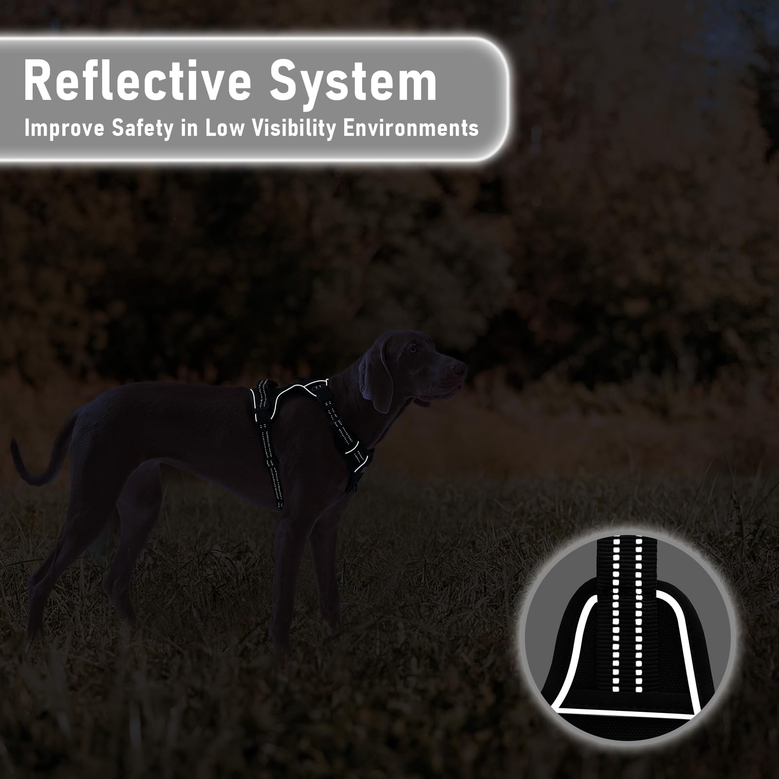 No Pull Dog Harness for Extra Large Dogs, Release on Neck, for Alaska Malamute, Bull Mastiff, Rottweiler, Great Dane etc, for Tr