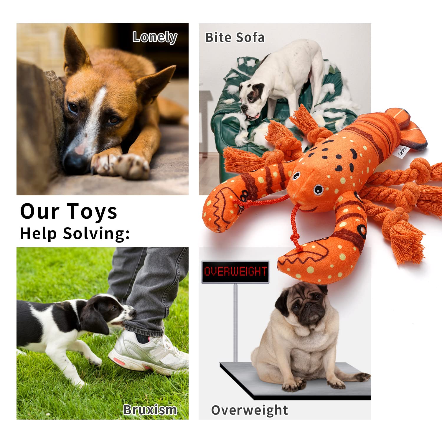 Sedioso Dog Toys, Dog Plush Toy For Large Breed, Cute Squeaky Dog Toys With Crinkle Paper , Dog Chew Toys For Puppy, Small, Middle, Big Dogs (Lobster)