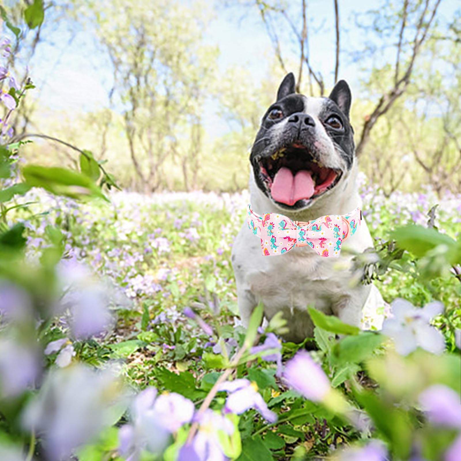 Lionheart Glory Dog Bow Collar Dinosaurs Pattern Cute Collars For Medium Dogs,Soft Duty Adjustable Dog Collar With Bowtie Spring
