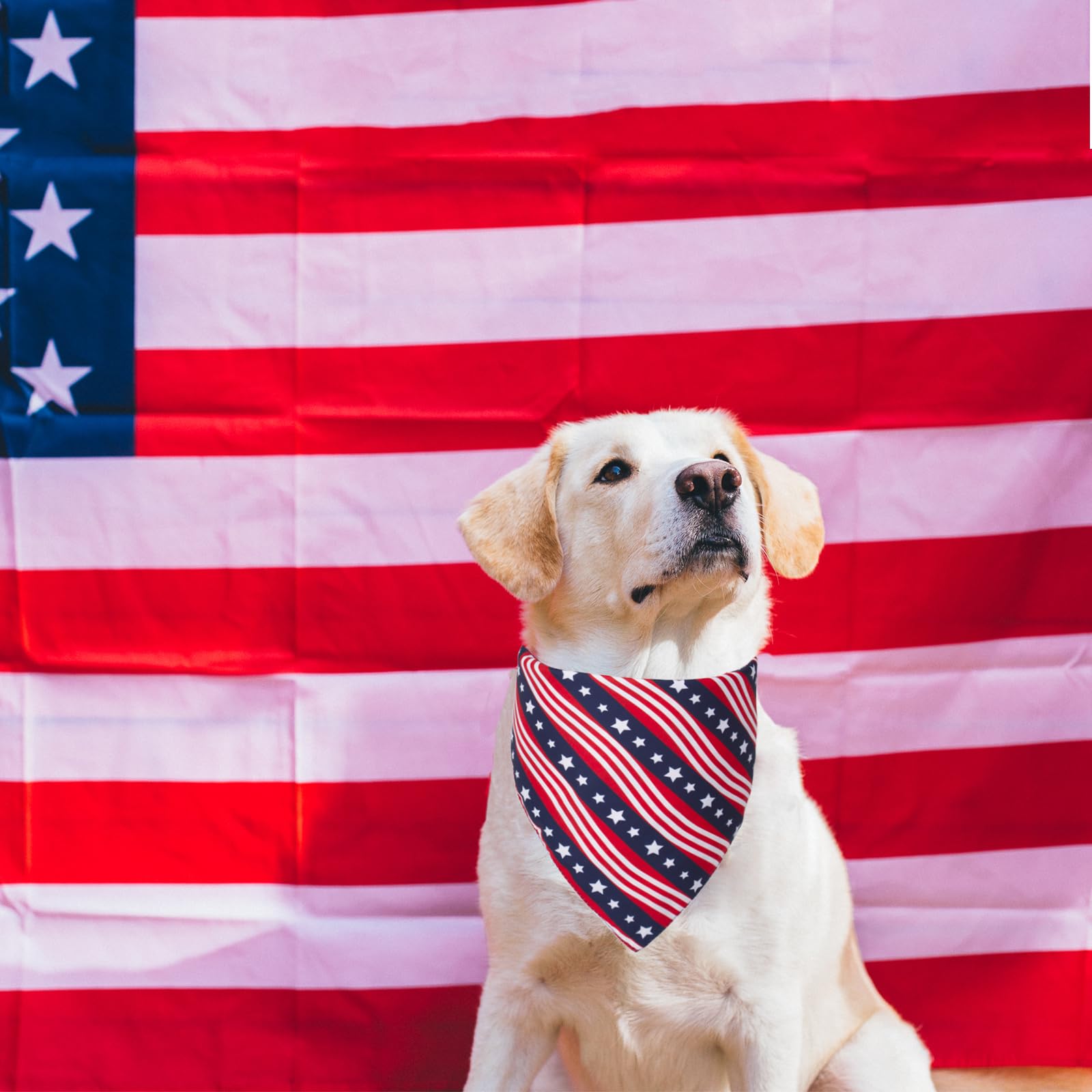 Ptdecor American Us Flag Dog Bandana 4Th Of July Dog Bandanas Reversible Triangle Pet Bibs Scarf For Large And Extra Large Dogs