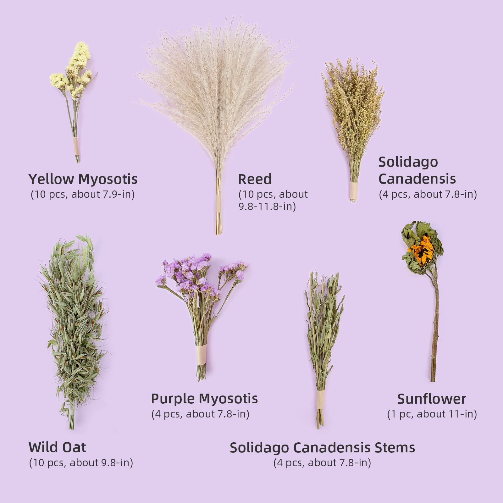 Niteangel Natural & Soft Hamster Bedding Mate Small Animal Habitat Decor For Syrian Dwarf Hamsters Gerbils Mice Degus Bunny Or Other Small-Sized Pet (Flower Version)