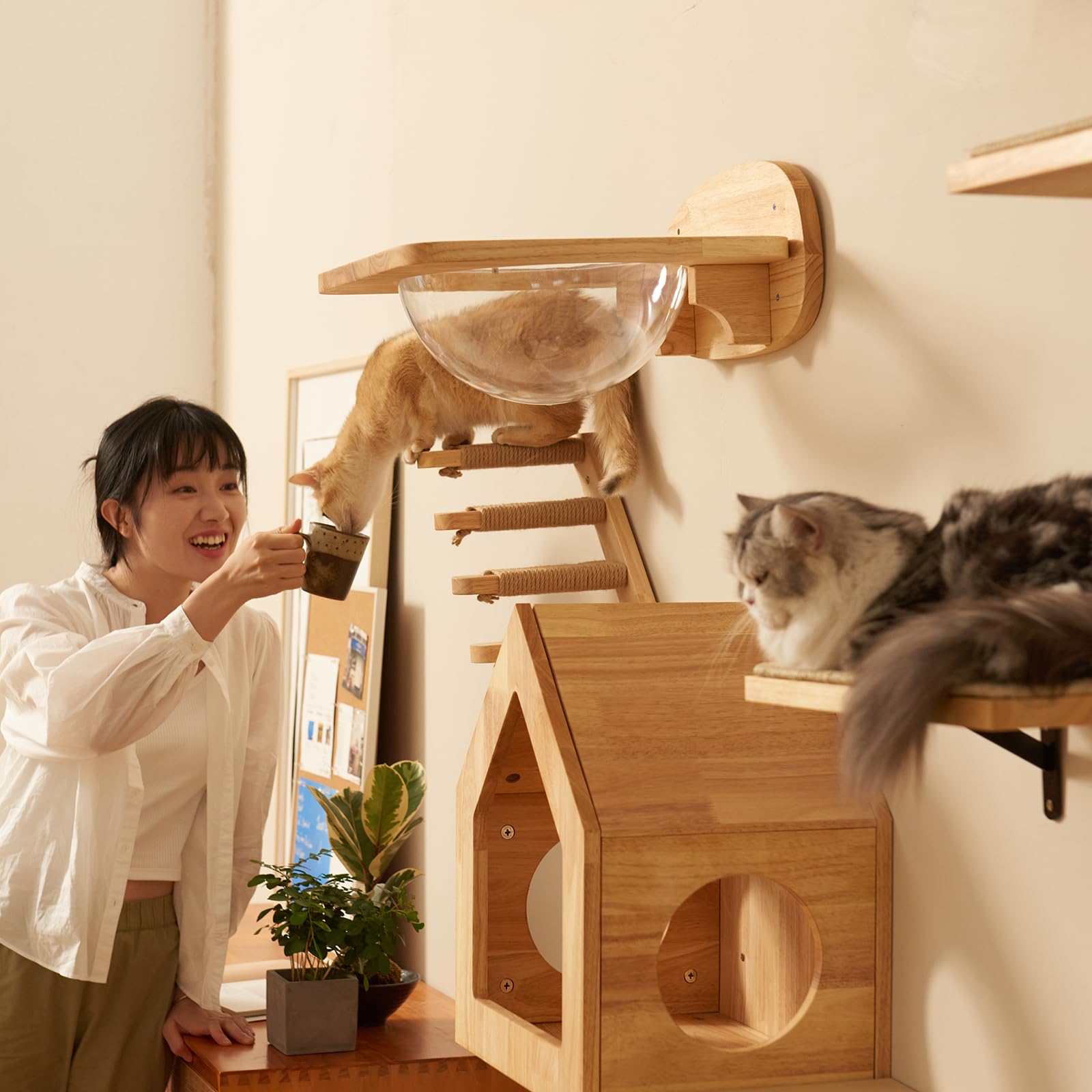 FUKUMARU Cat Climbing Shelf Wall Mounted, Four Step Cat Stairway with Jute Scratching for Kitten Perch Platform Walls Furniture
