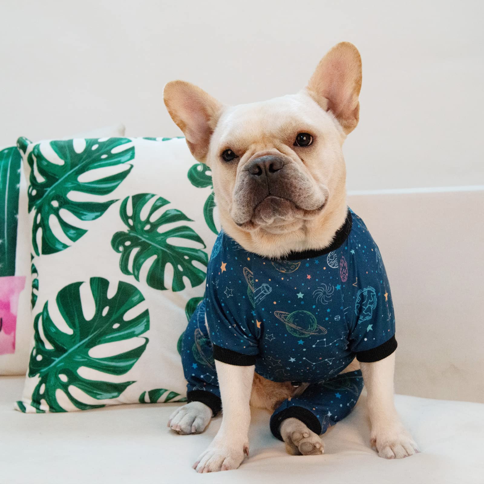 Cutebone Small Dog Pajamas Shirt Stretchy Summer Puppy Pjs Soft Cat Onesies Pet Clothes For Daily Wear Da12Xs