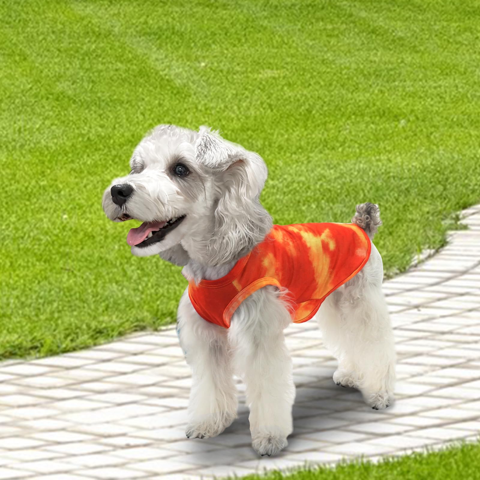 Xpudac 4 Pack Dog Shirt Tie Dye Lightweight Dog Clothes For Small Dogs Boy Girls Breathable Stretchy Tank Top Vest-Large