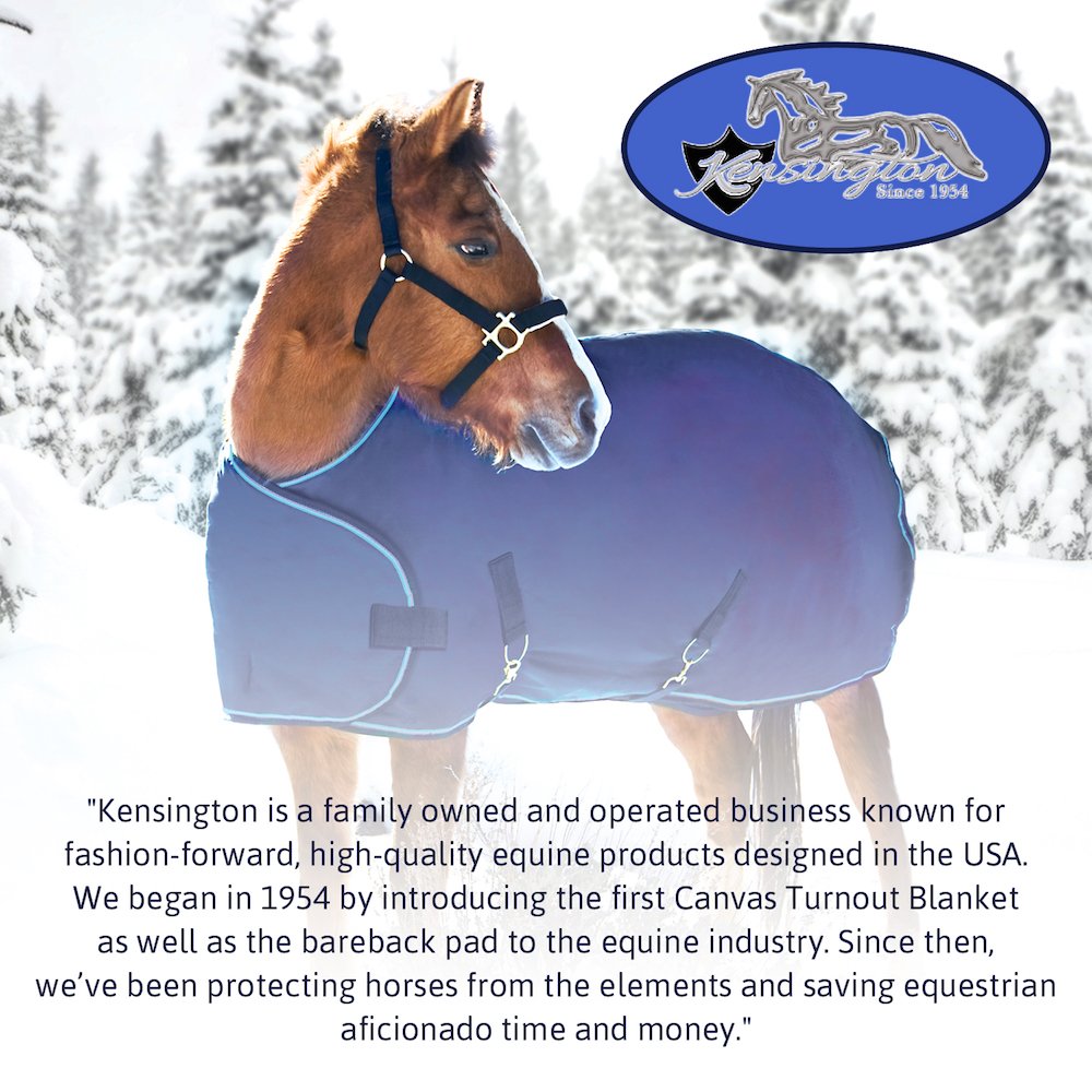 Kensington Stall Guard For Horses - Designed To Keep Horse Securely In Stall In Style - Adjustable Straps And Hardware Included