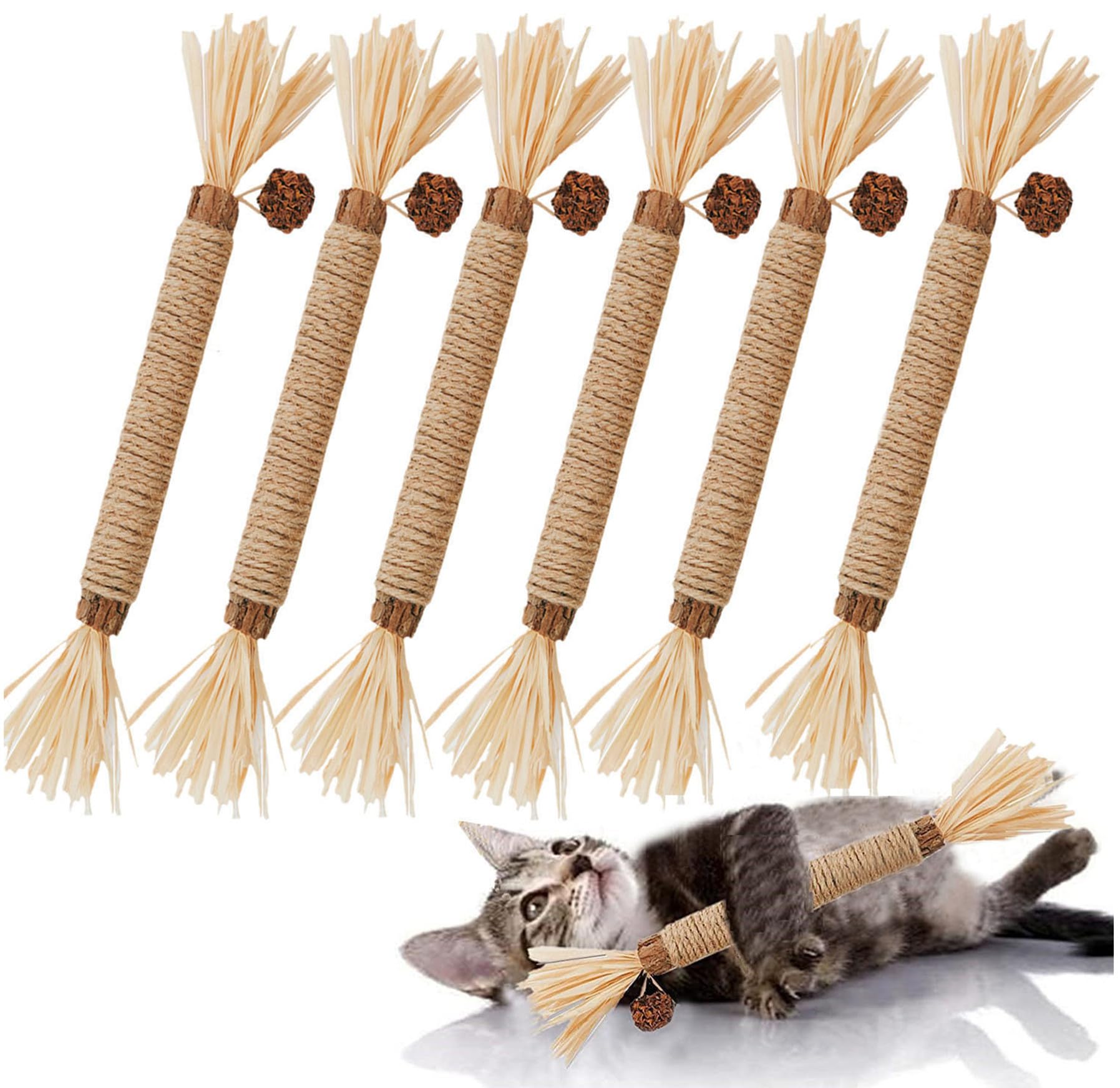 GREMBEB Cat Toys,6PCS Kitten Toys for Indoor Cats Catnip Toy for Chewing Silvervine Stick for Cleaning Teeth Kitty Dental Treat 