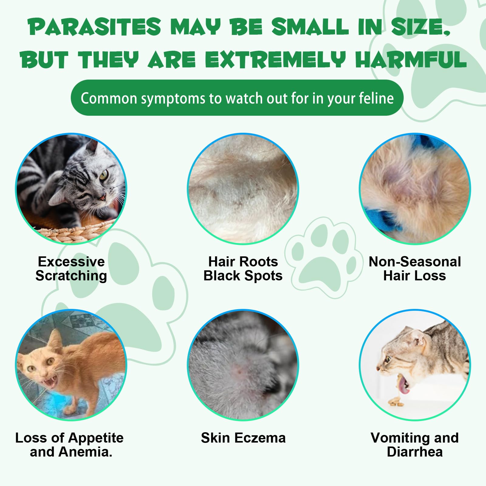 Specifically Formulated for Cats, Cat Broad Spectrum Supports, Naturally Sourced Ingredients, Gut Health, Easy-to-Absorb, Probio