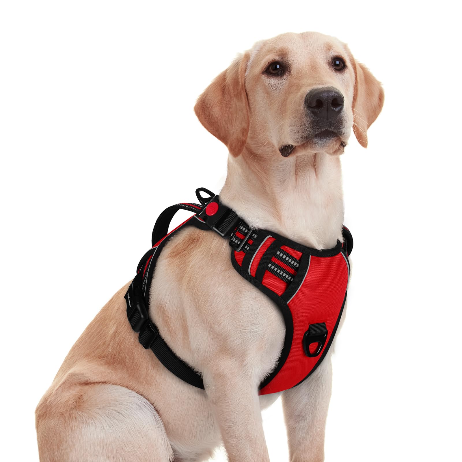 rabbitgoo Dog Harness Medium Sized, No Pull Pet Harness with Soft Padded Handle, Adjustable Reflective Vest with 3 Buckles, Easy