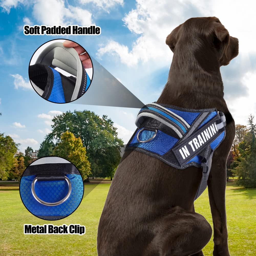 Service Dog Vest Harness And Leash Set, Animire In Training Dog Harness With 8 Dog Patches, Reflective Dog Leash With Soft Padded Handle For Small, Medium, Large, And Extra-Large Dogs (Blue,S)